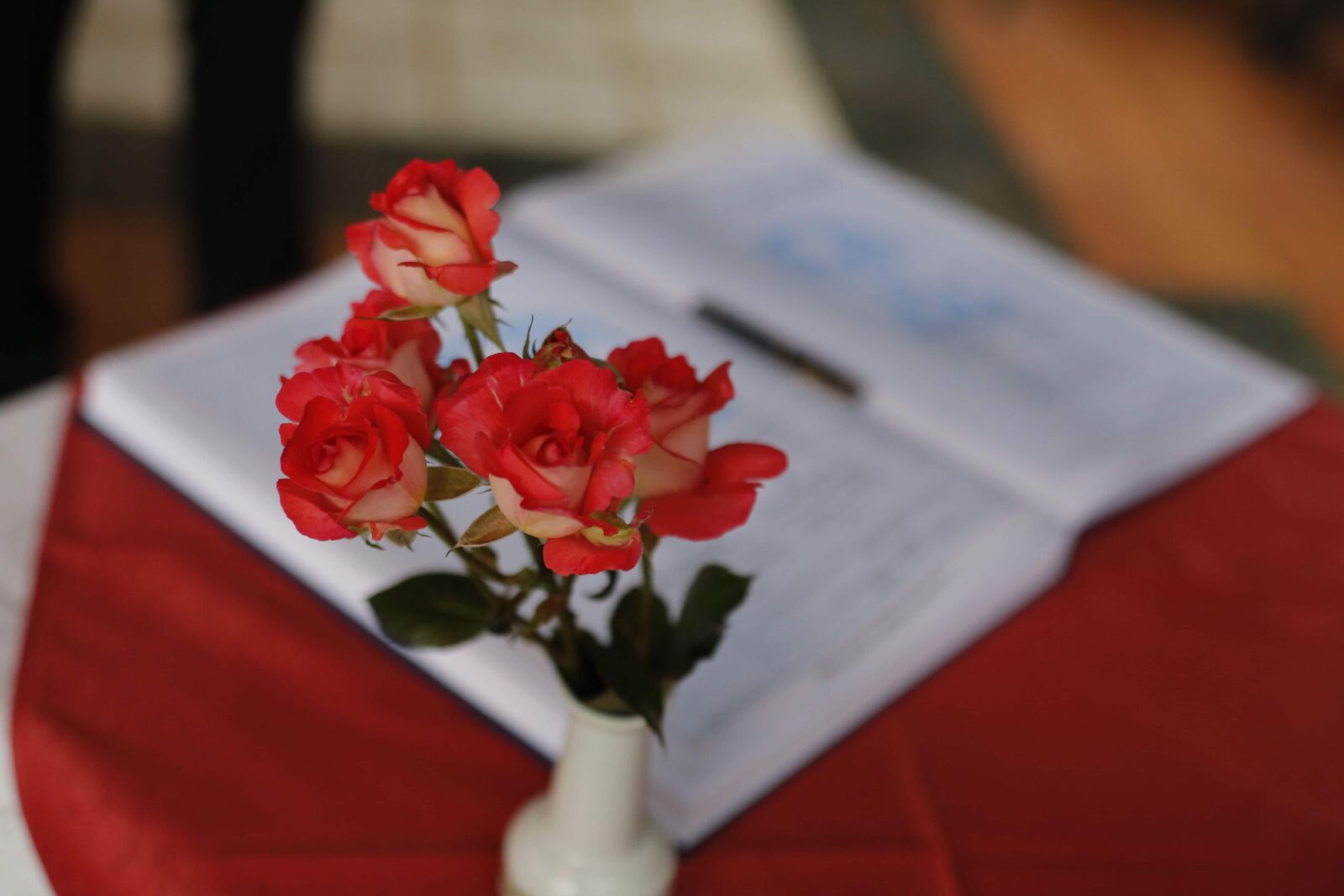 Canon EOS 5D Mark III sample photo. Book, ceremony, pencil, roses photography
