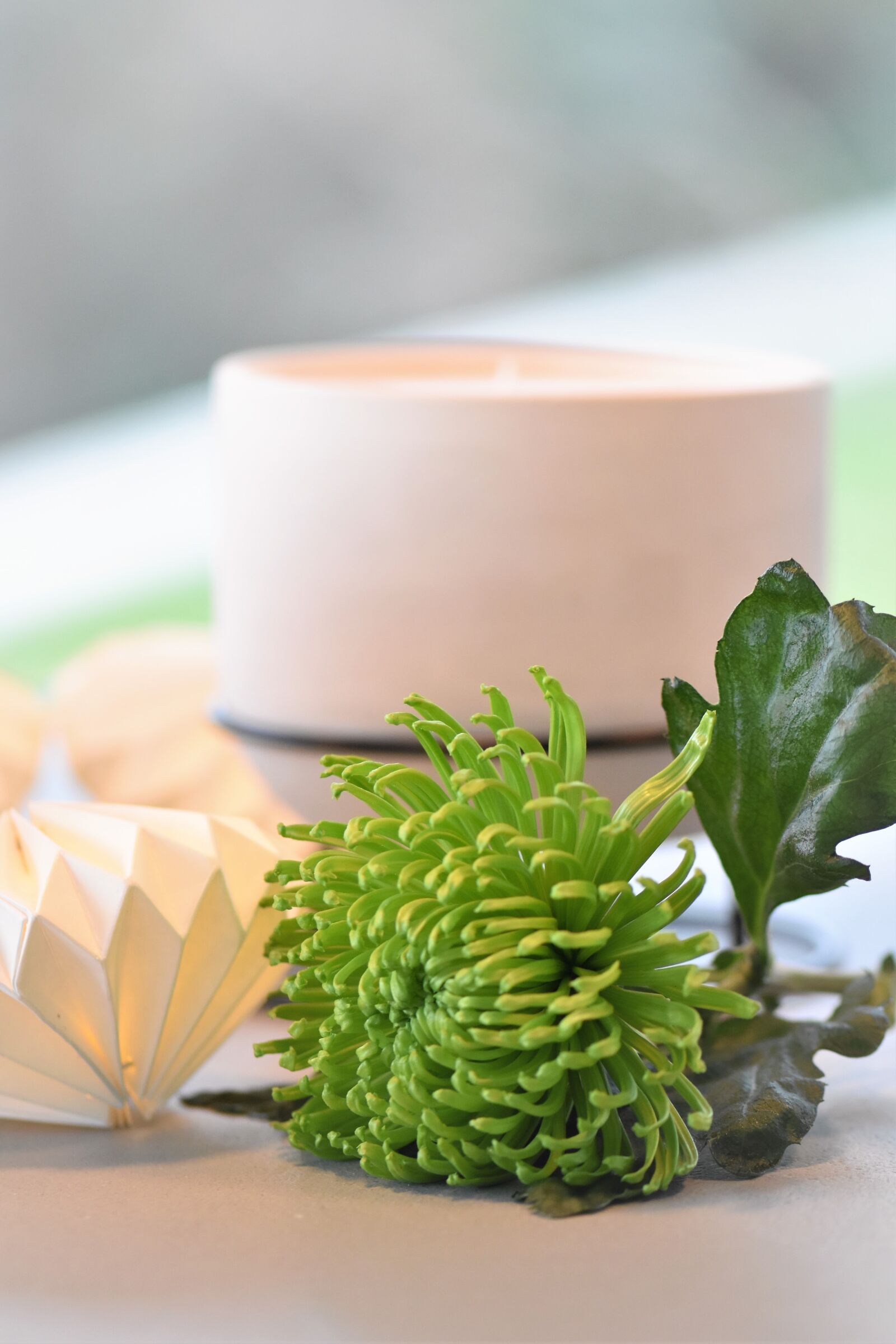 Nikon D5500 sample photo. Decoration, deco, table decorations photography
