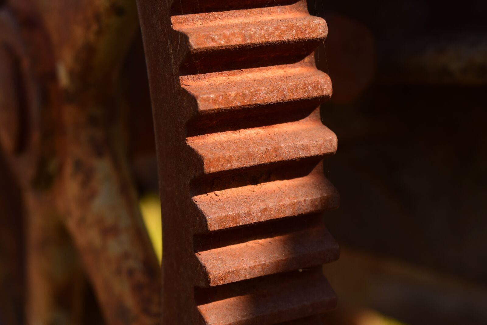 Nikon D3300 sample photo. Gear, metal, rust photography