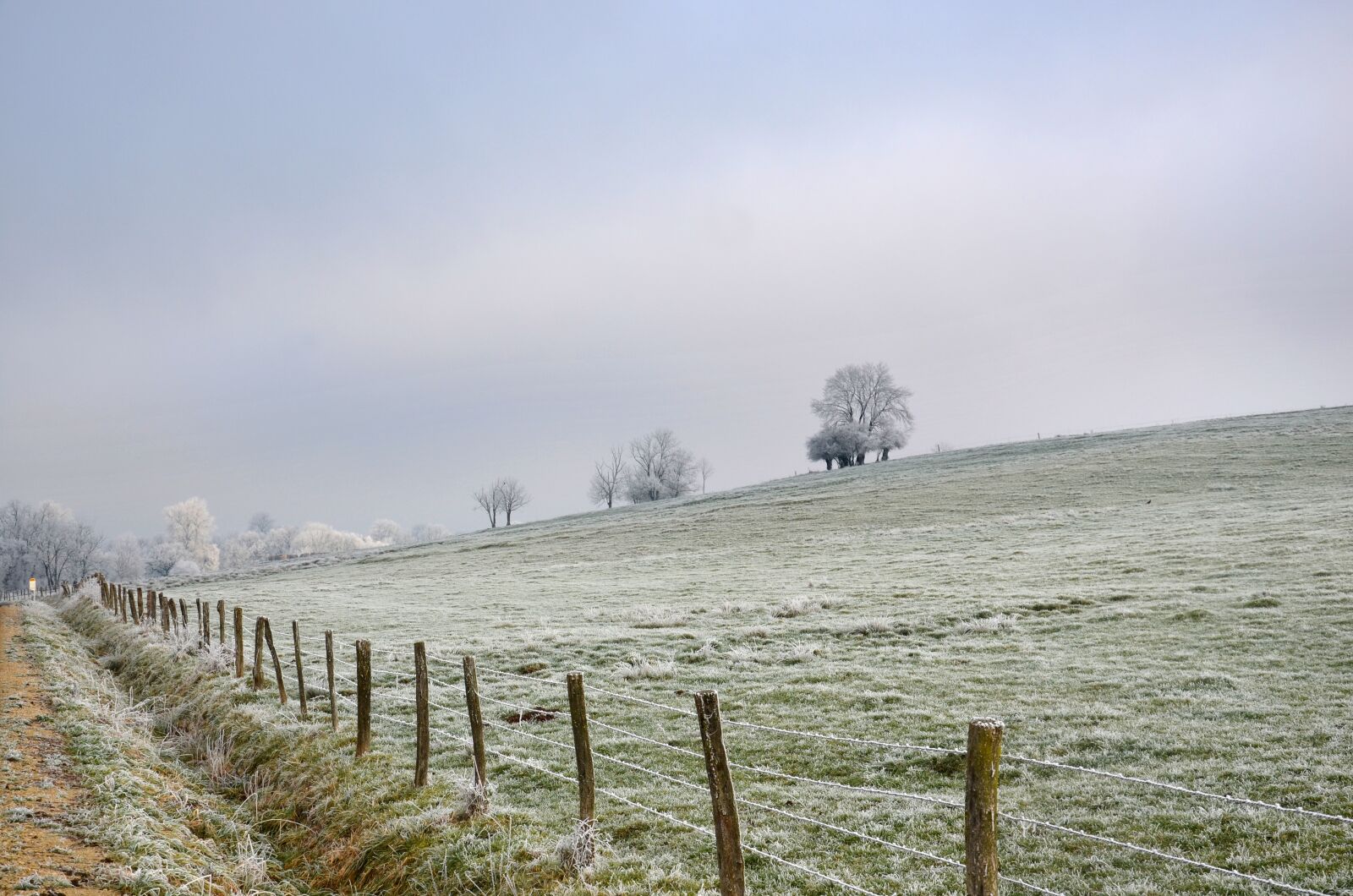 Nikon D5100 sample photo. Landscape, frost, winter photography