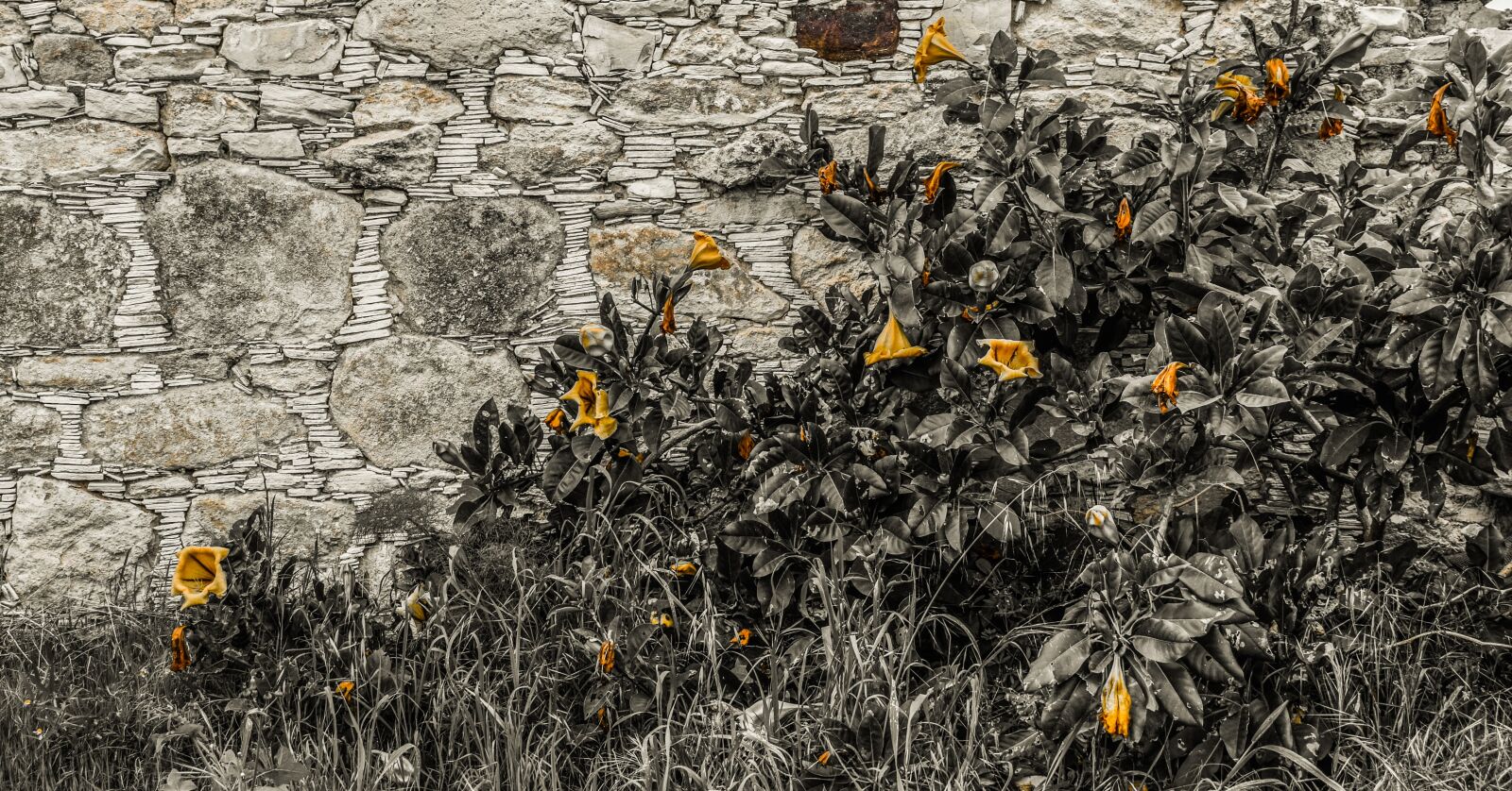 Nikon D3300 sample photo. Wall, stone, nature photography