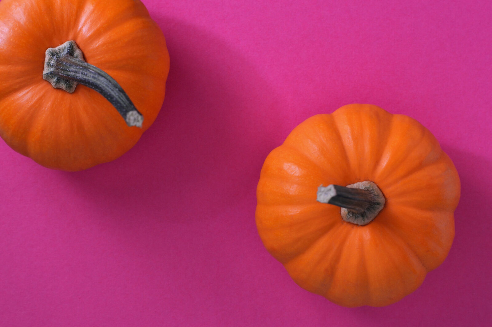 Nikon D3200 sample photo. Decorative, food, fresh, halloween photography