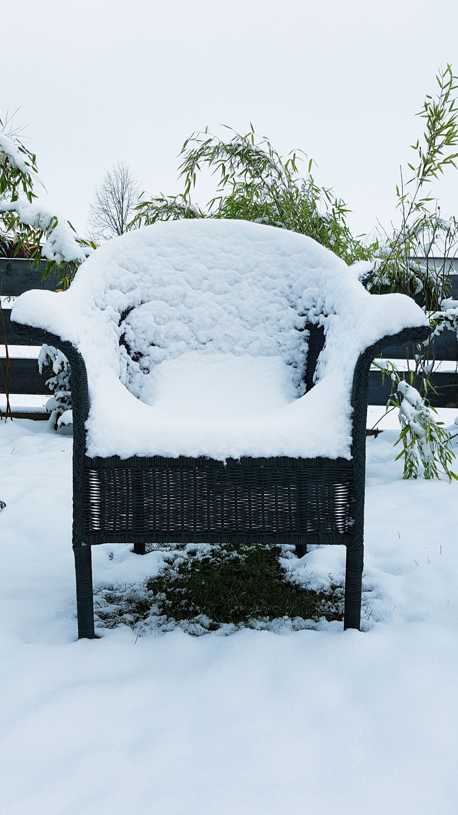 Samsung Galaxy S7 Edge sample photo. Snow, snowed in, garden photography
