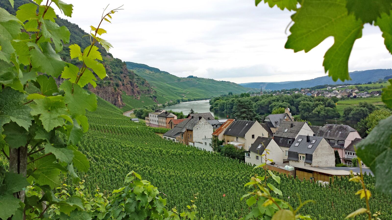 Samsung Galaxy S4 sample photo. ürzig, mosel, sachsen photography