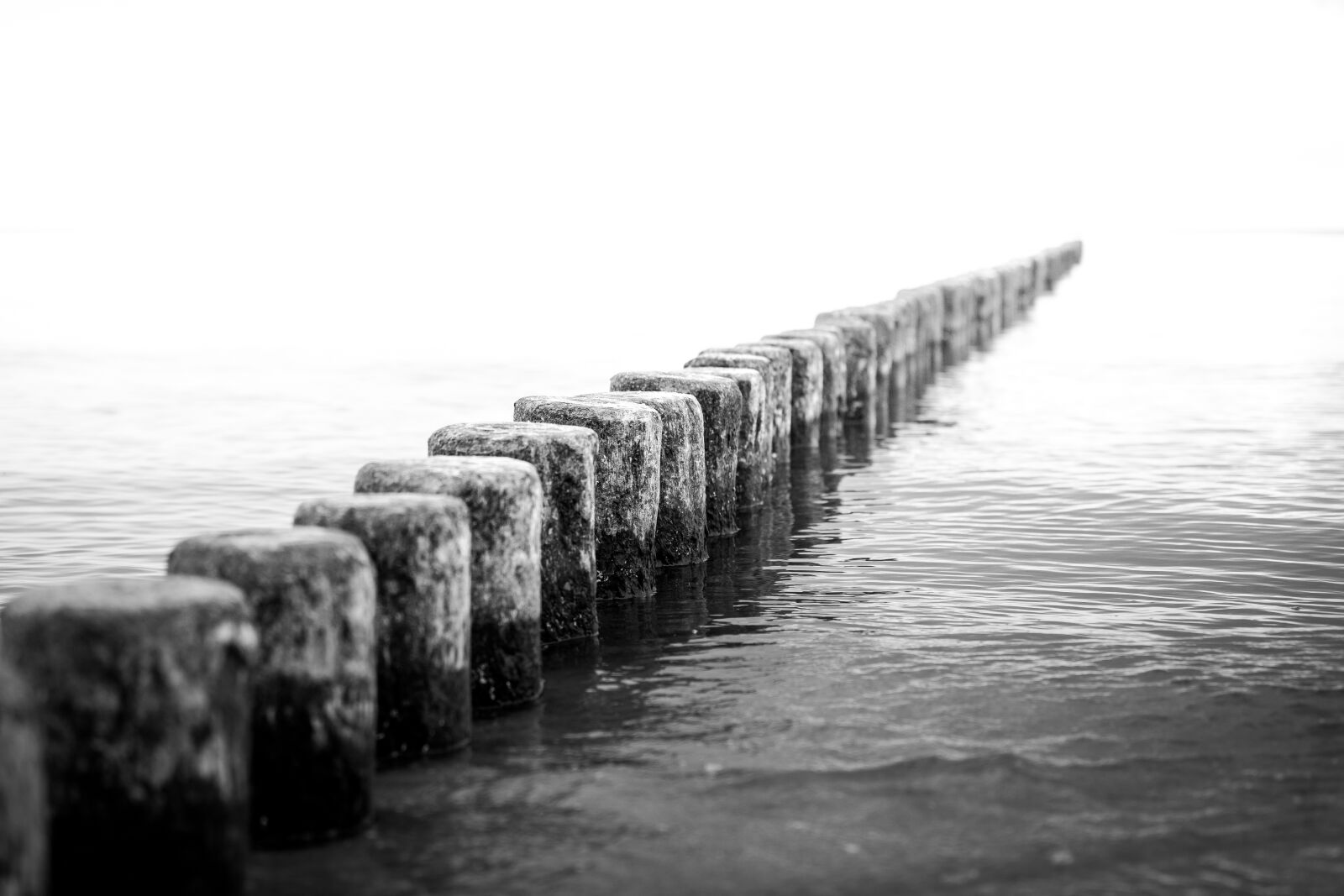 Canon EOS 5D Mark III sample photo. S w, black, white photography