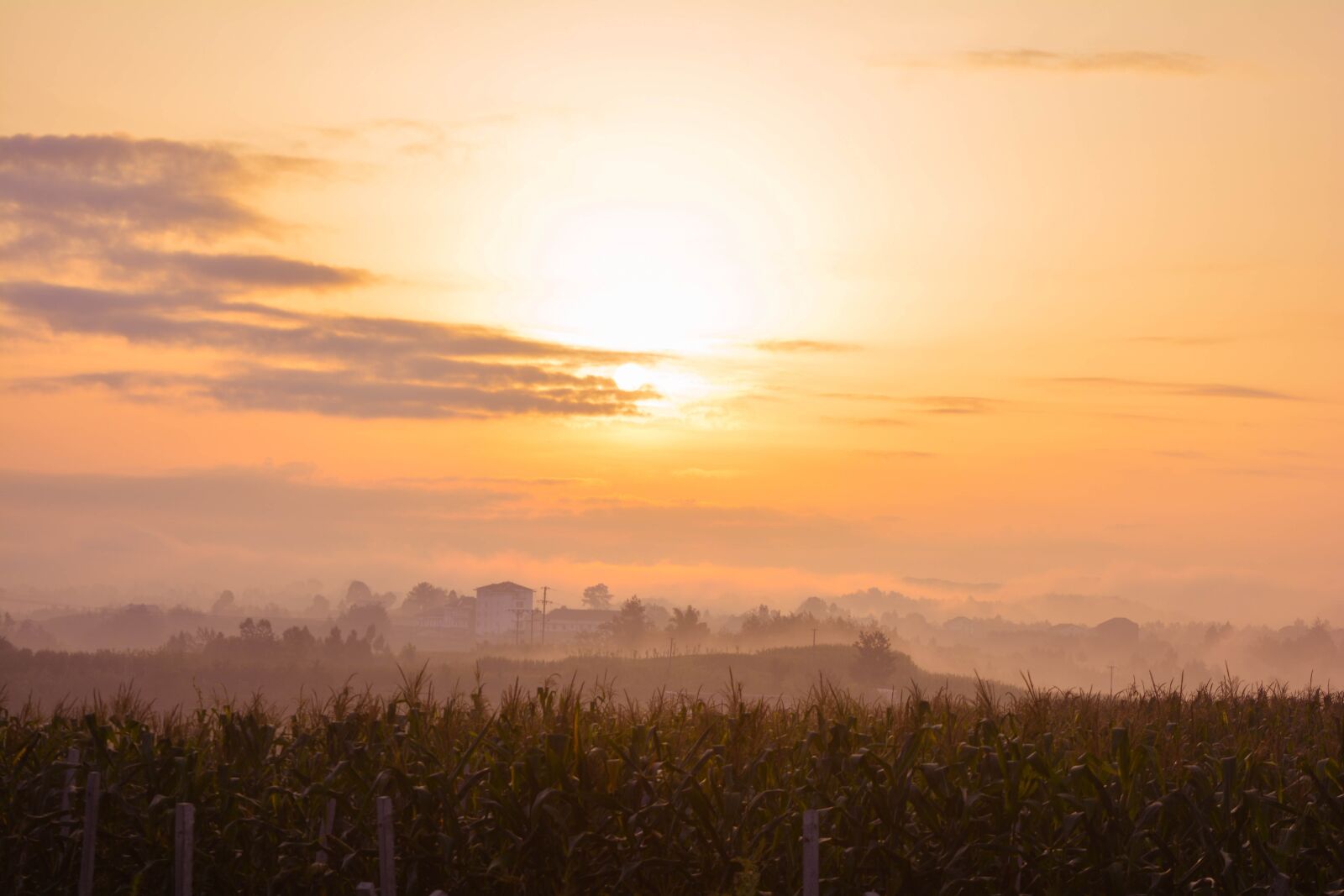 Nikon D5200 sample photo. Sunrise, ye tian, in photography
