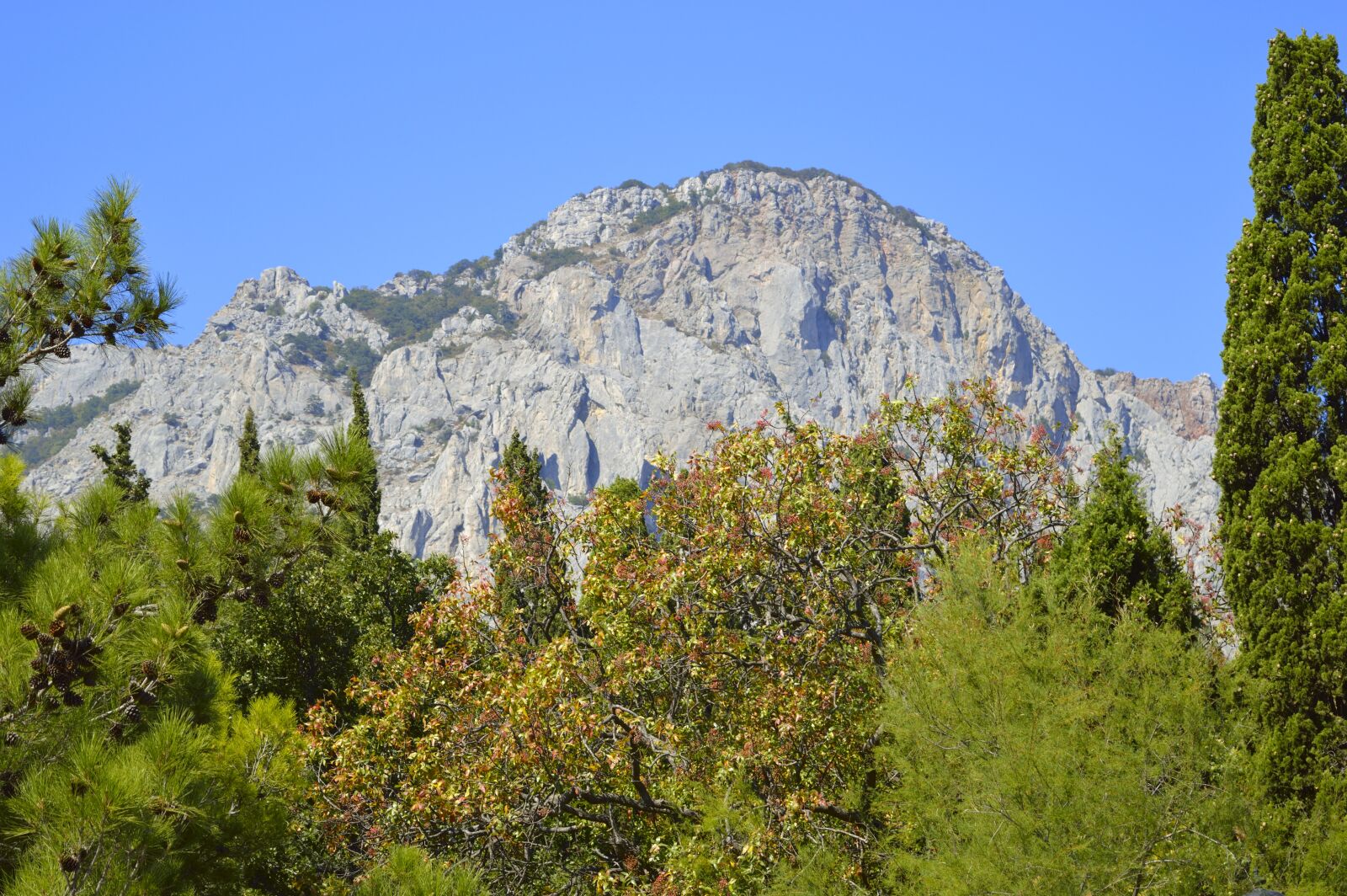 Nikon D3200 sample photo. Nature, landscape, mountain photography