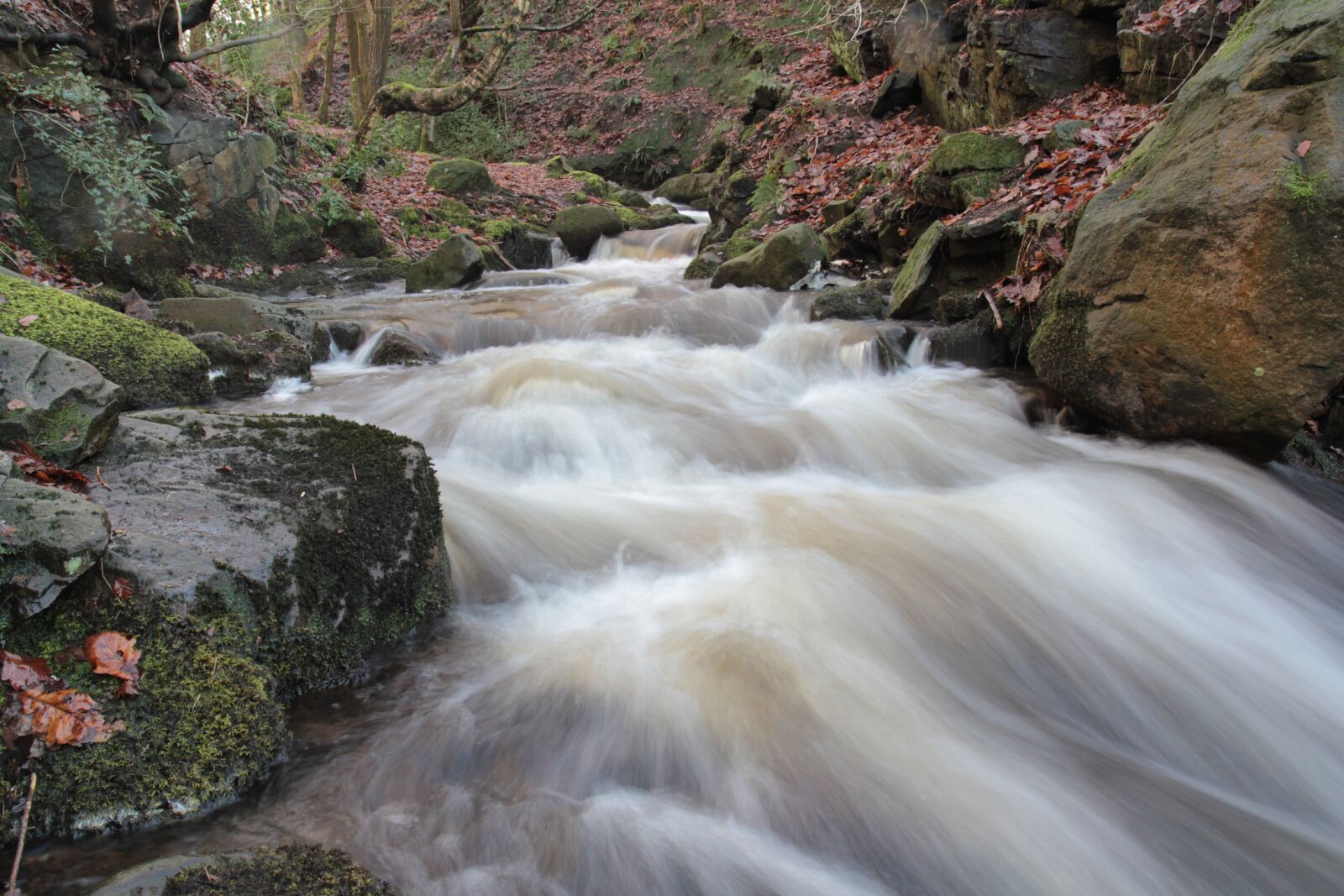 Canon EOS 60D + Sigma 12-24mm f/4.5-5.6 EX DG ASPHERICAL HSM + 1.4x sample photo. Lead mines clough, rivington photography