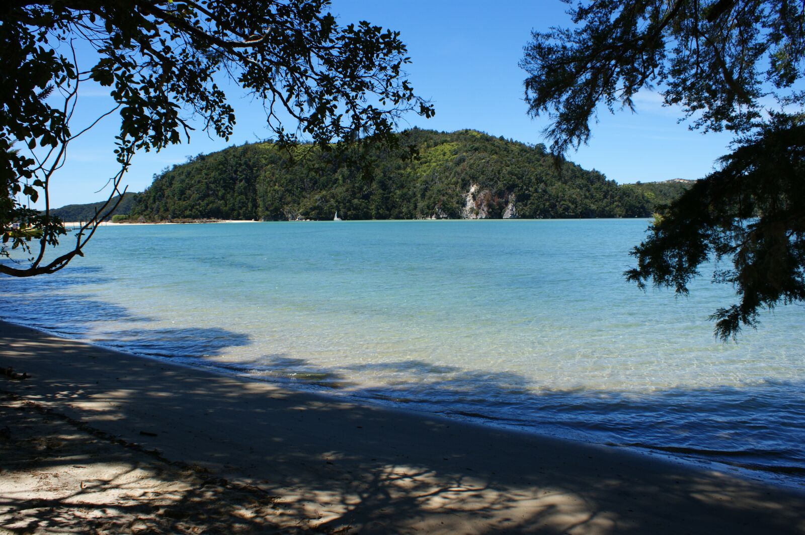 Sony Alpha DSLR-A350 sample photo. Abel tasman, national park photography