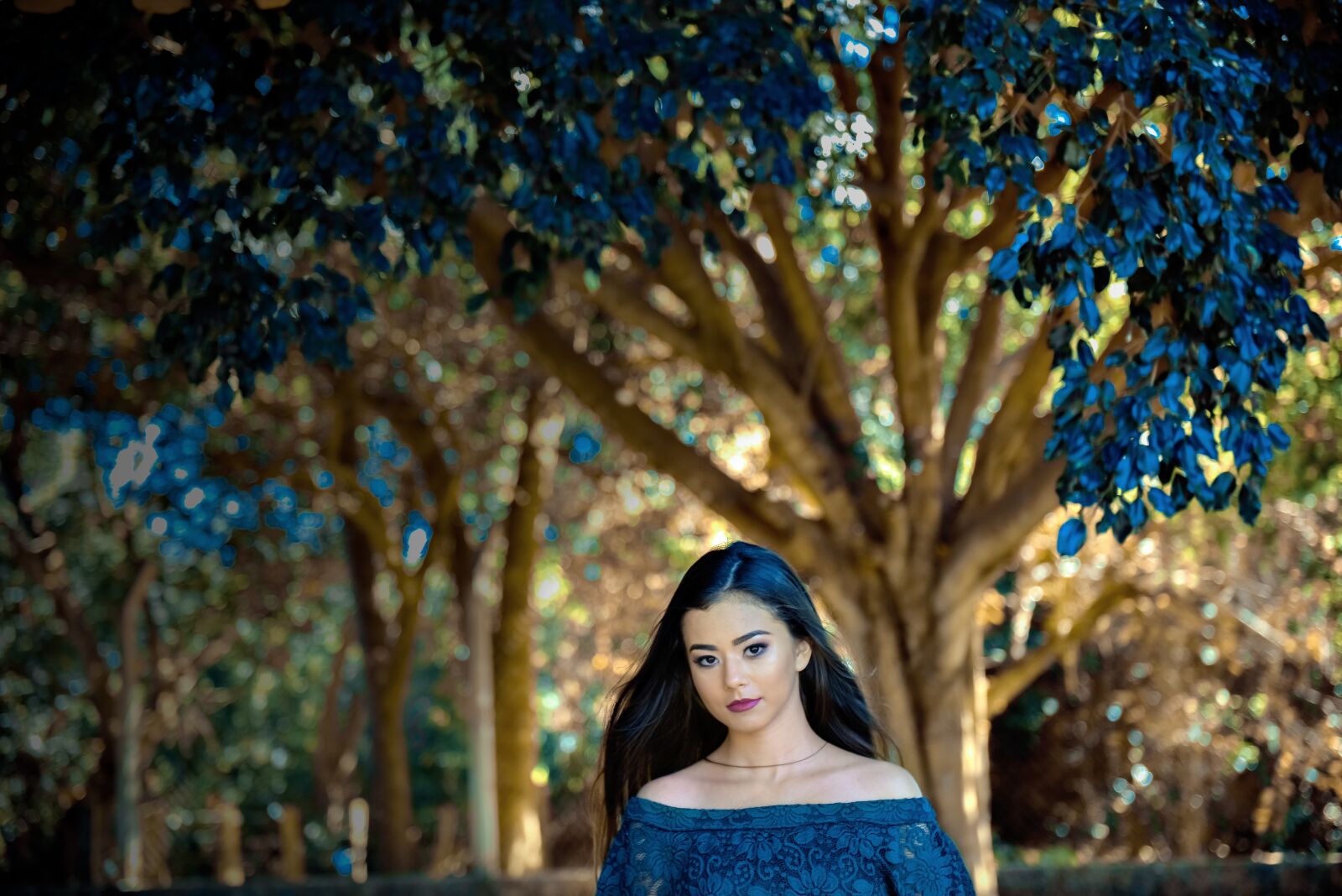 Nikon D810 sample photo. Debutante, fifiteen, book photography