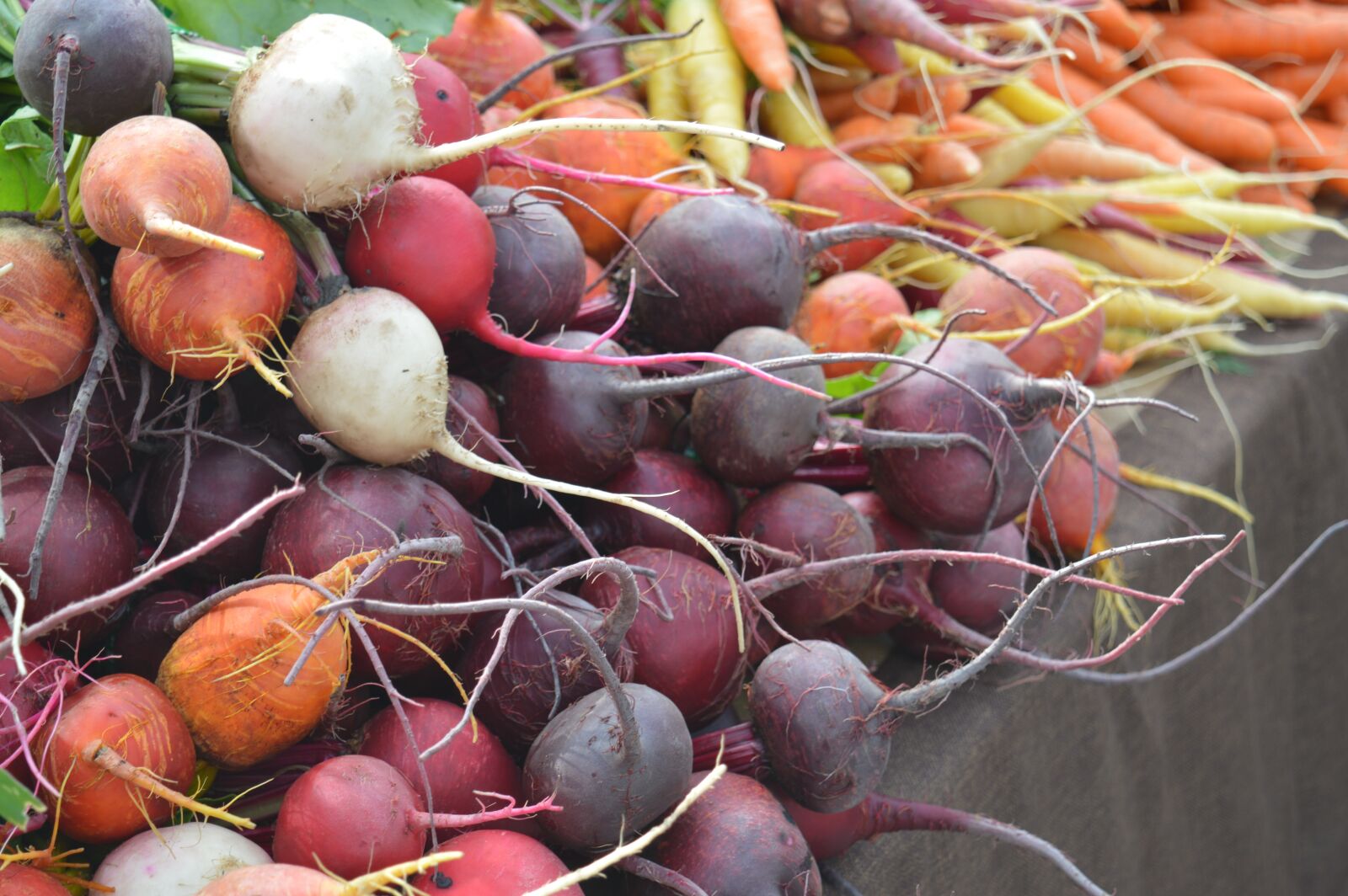 Nikon D3200 sample photo. Vegetables, beets, yams photography