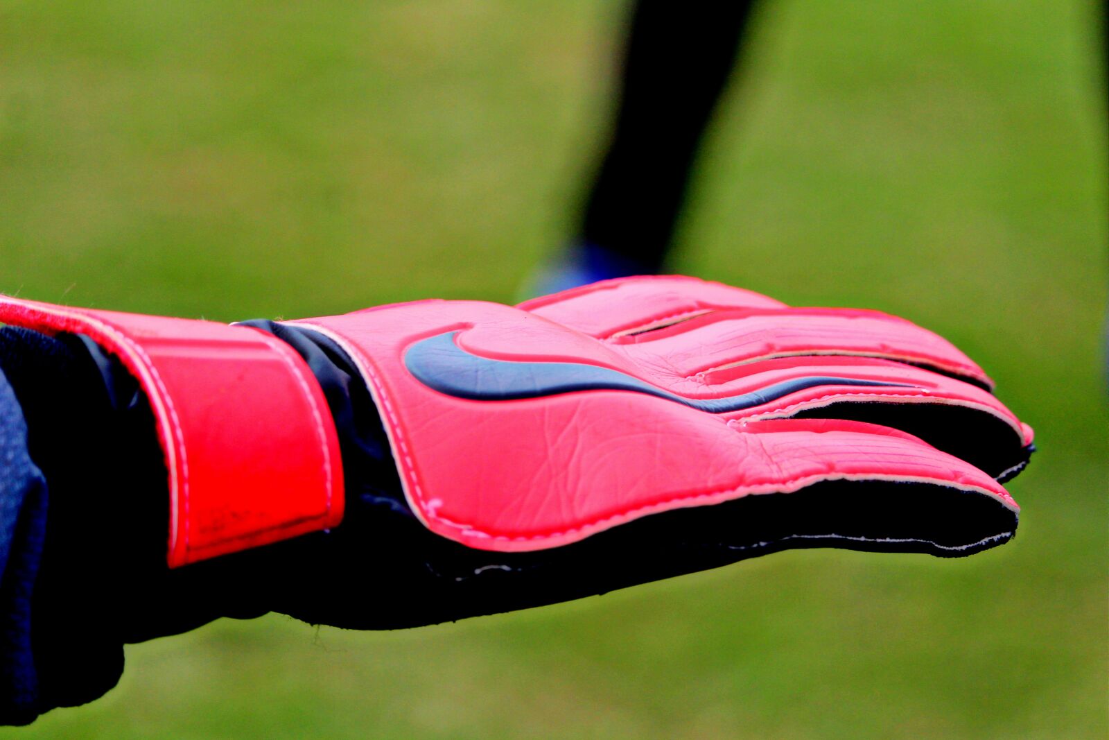 Canon EF-S 55-250mm F4-5.6 IS STM sample photo. Goalkeeper gloves, goalkeeper, gloves photography