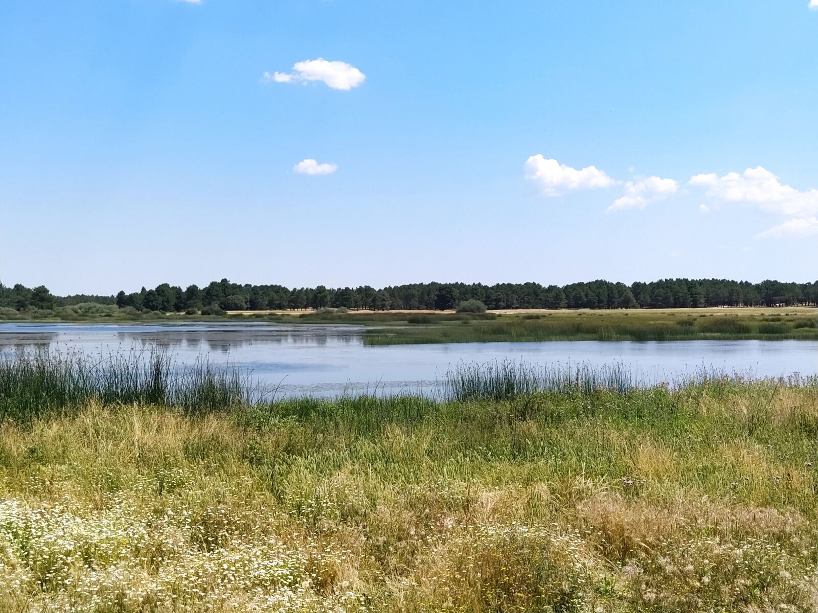 Xiaomi Mi A3 sample photo. Laguna, field, landscape photography