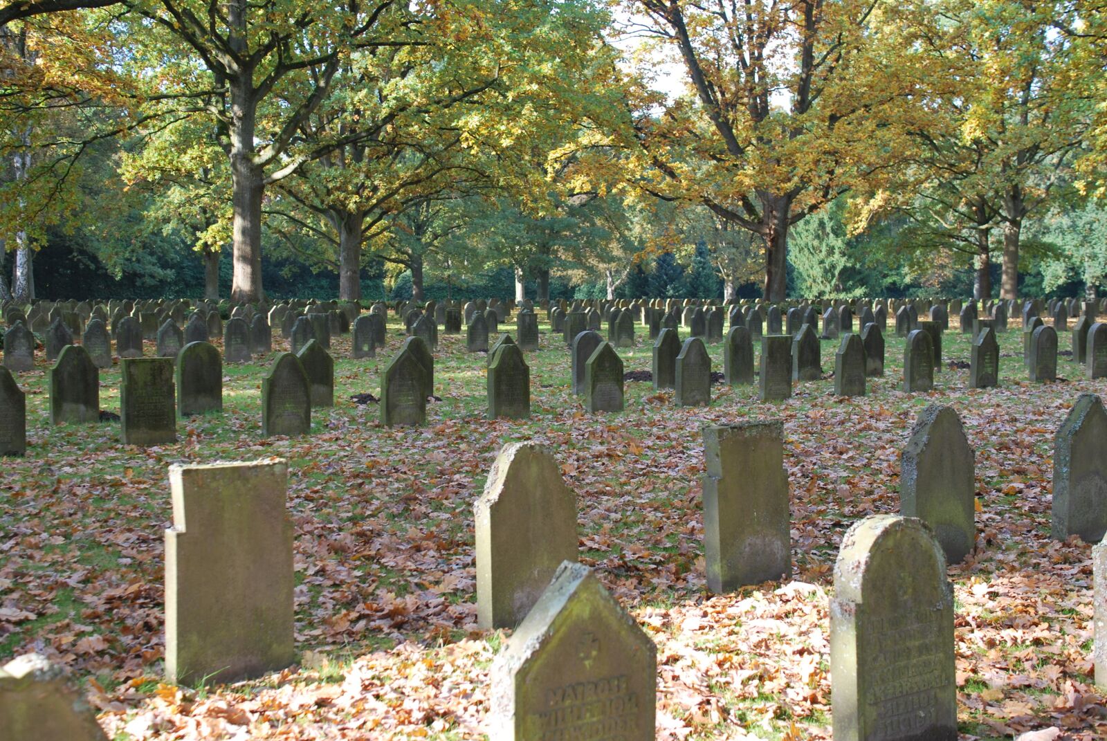 Nikon D60 sample photo. Architecture, cemetery, soldiers graves photography