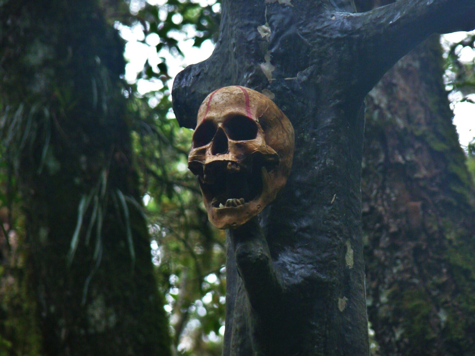 Sony Cyber-shot DSC-H50 sample photo. Skull, haunted, terror photography
