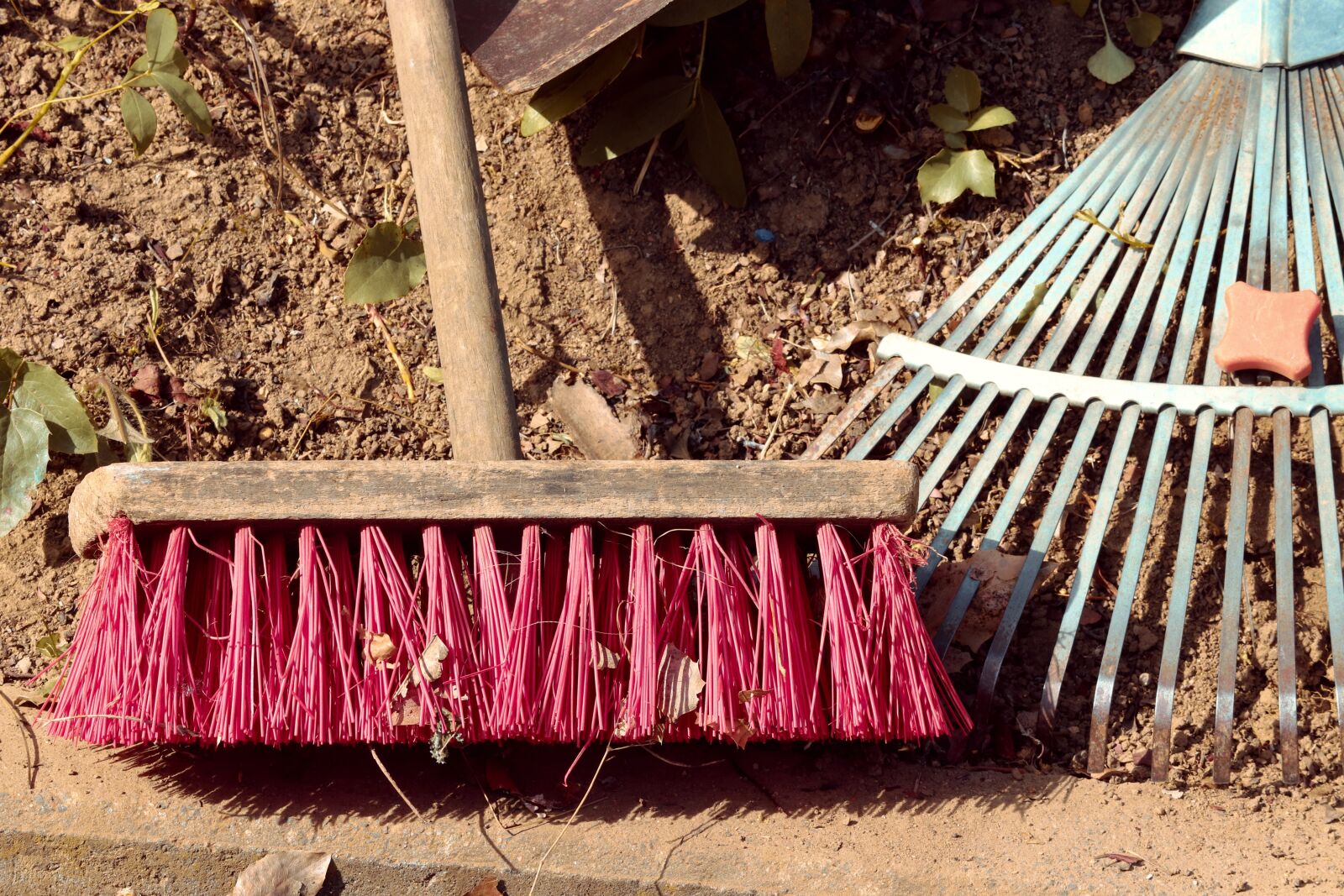 Canon EOS 200D (EOS Rebel SL2 / EOS Kiss X9) sample photo. Broom, computing, garden rake photography