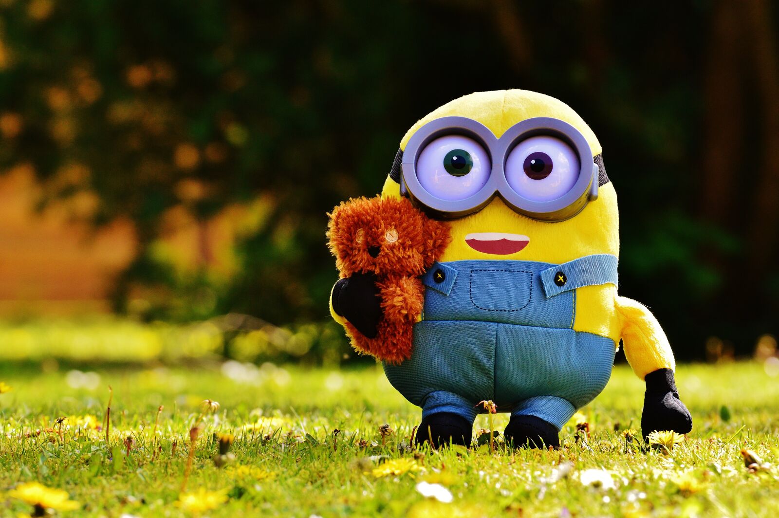 Nikon D3200 sample photo. Minion, funny, figure photography