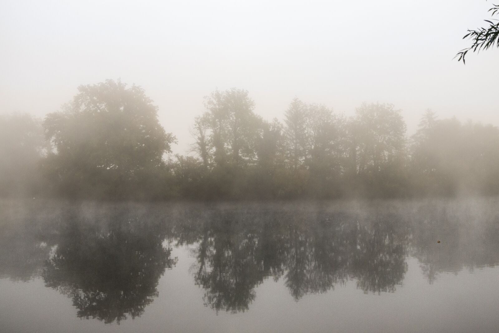 Canon EOS R sample photo. River, fog, autumn photography