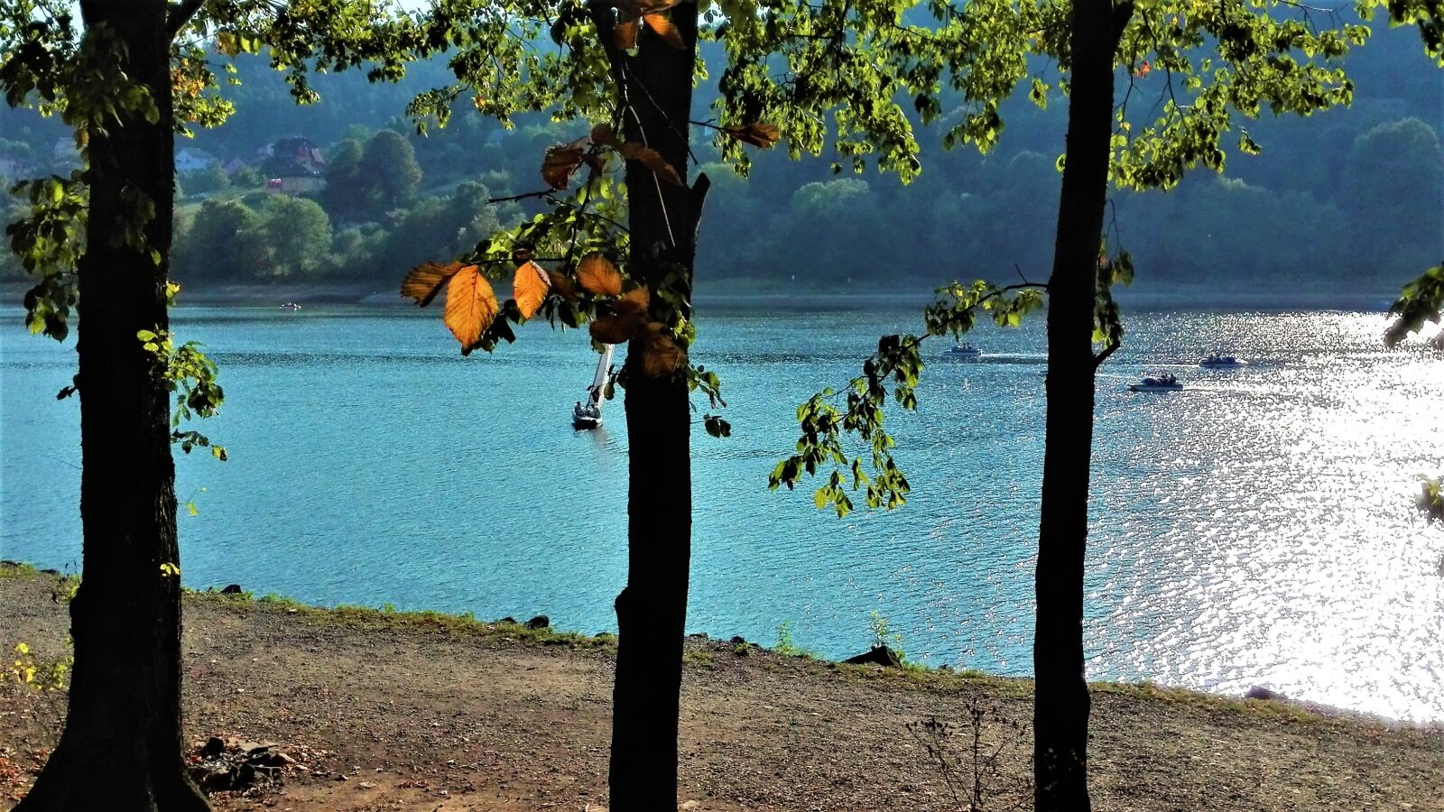 HUAWEI P8 Lite sample photo. Tree, lake, september photography