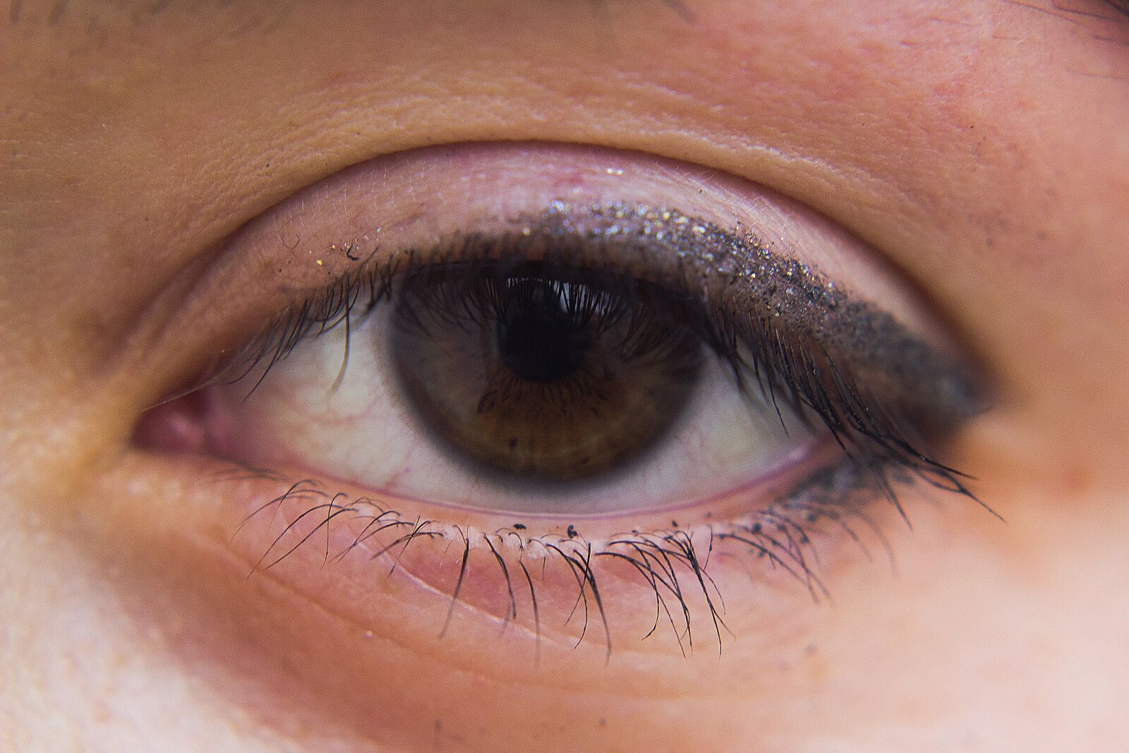 Canon EOS 600D (Rebel EOS T3i / EOS Kiss X5) + Canon EF 50mm F1.8 II sample photo. Eye, eyelashes, woman photography