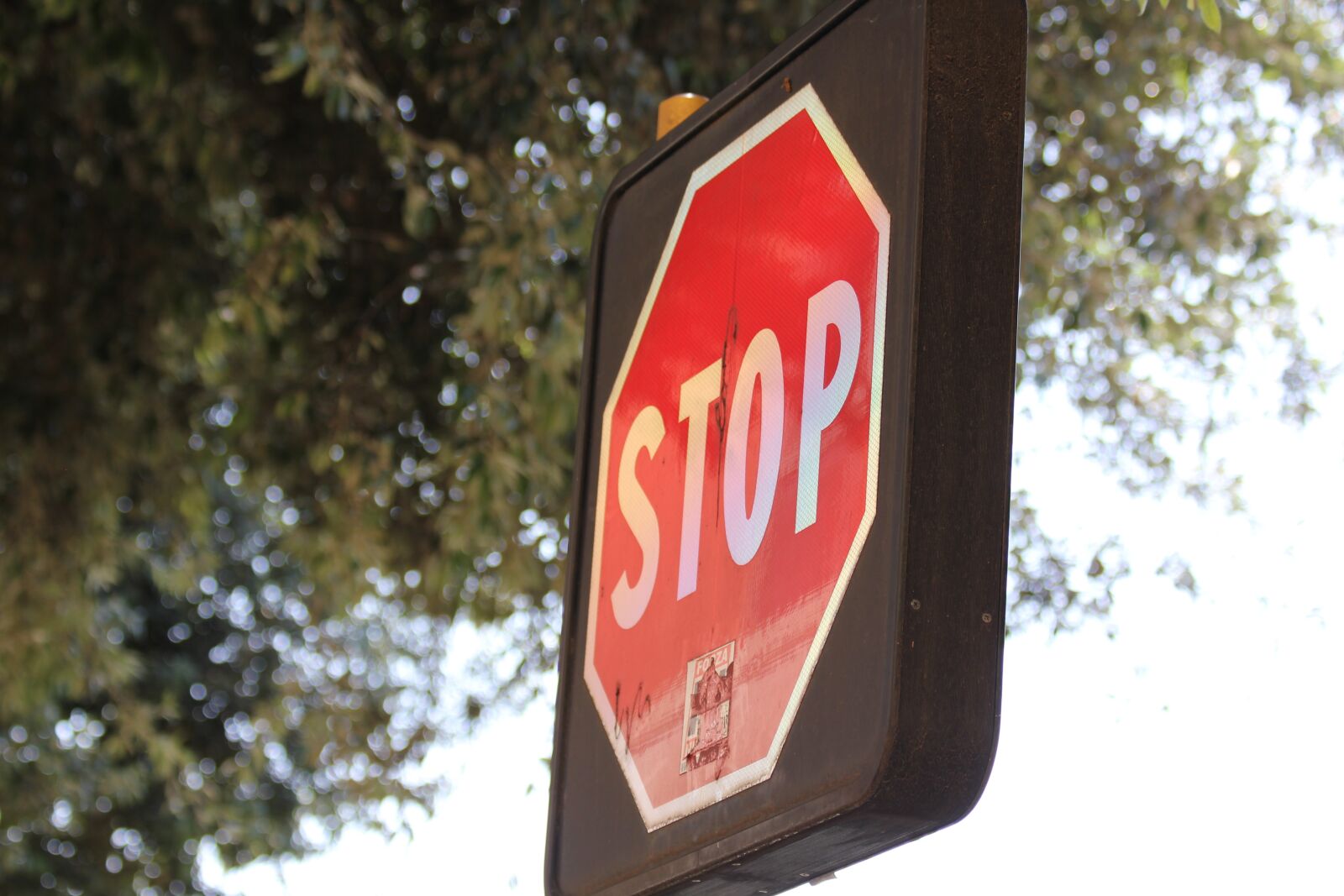 Canon EOS 550D (EOS Rebel T2i / EOS Kiss X4) sample photo. Stop, brand, transport photography
