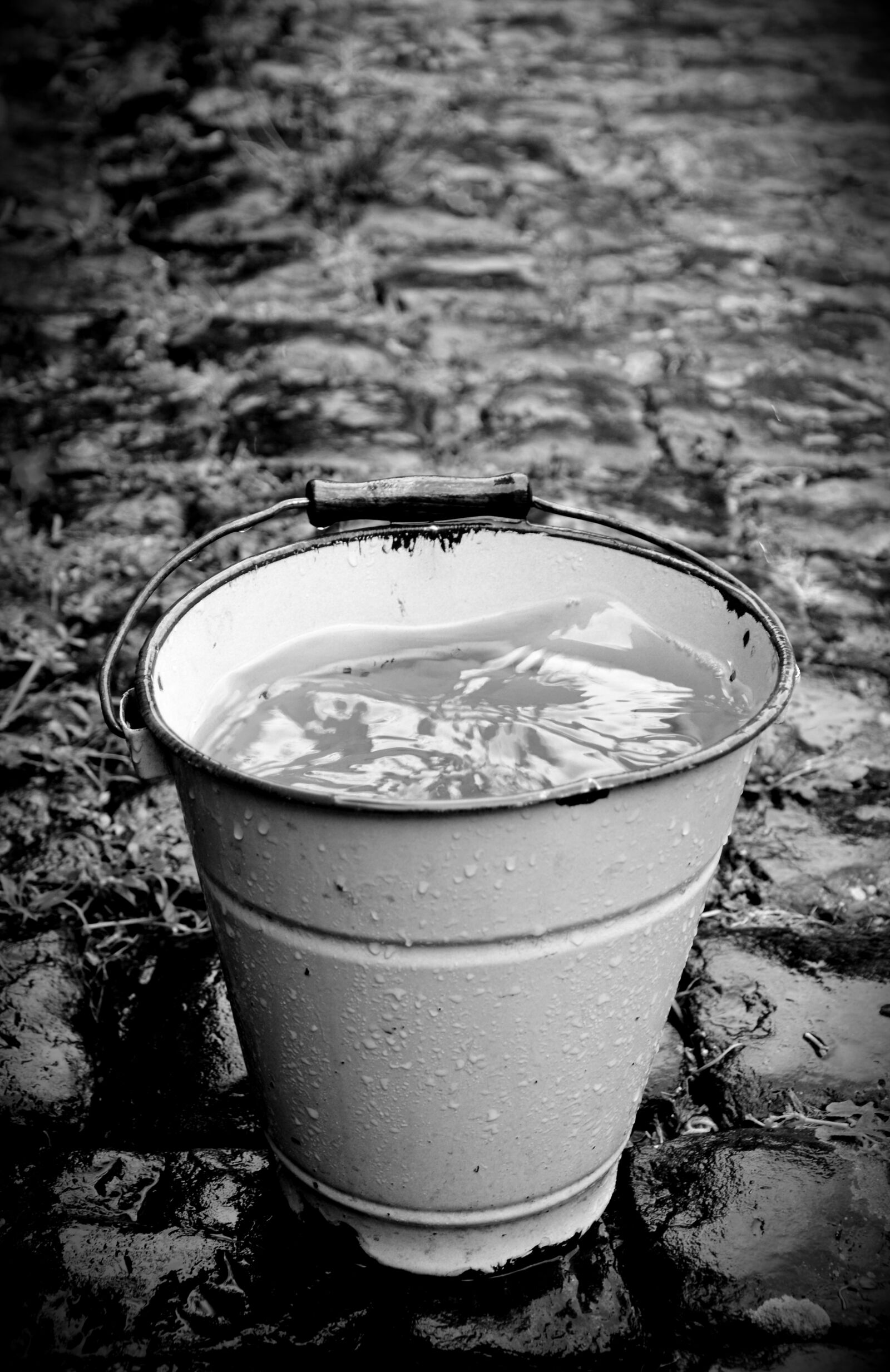 Nikon D5200 sample photo. Bucket, wet, rain photography