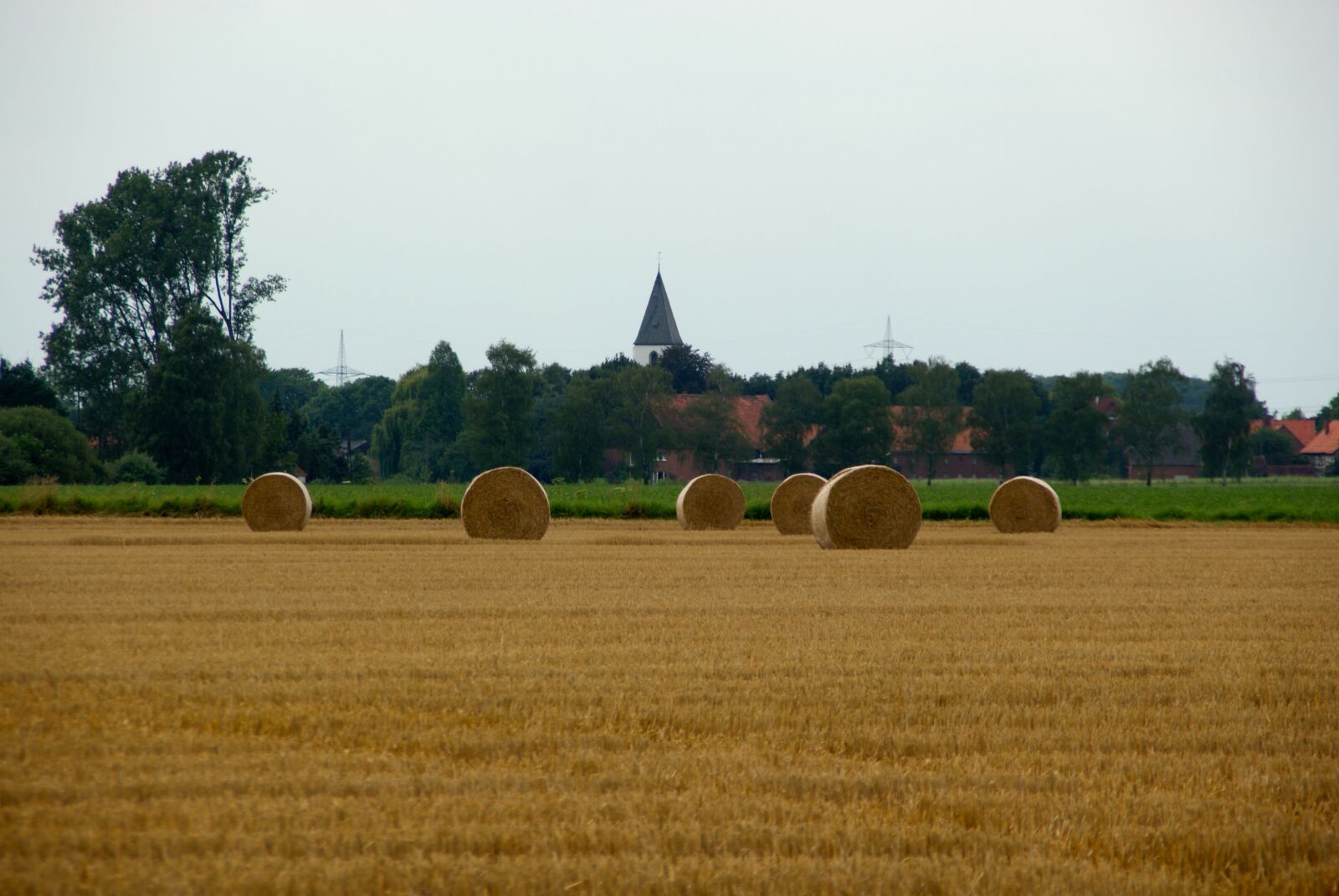 Sony Alpha DSLR-A200 sample photo. Field, agriculture, farm photography