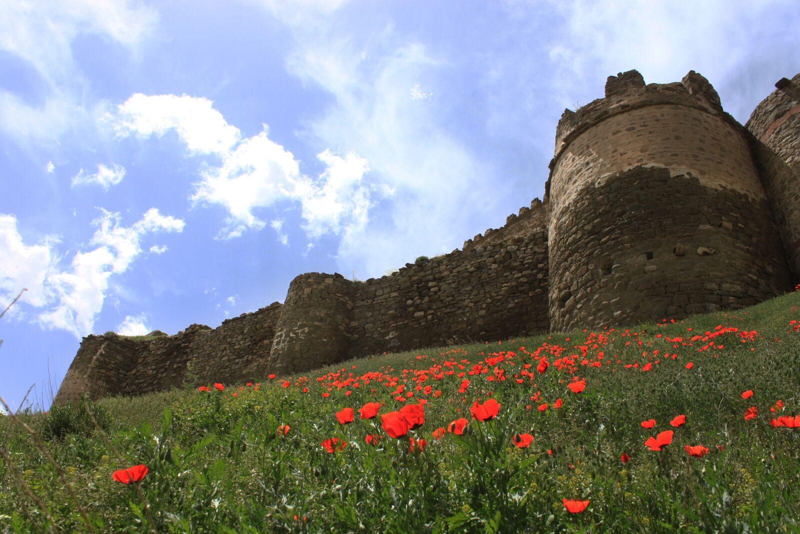 Canon EOS 500D (EOS Rebel T1i / EOS Kiss X3) sample photo. Castle, mus, castle of photography