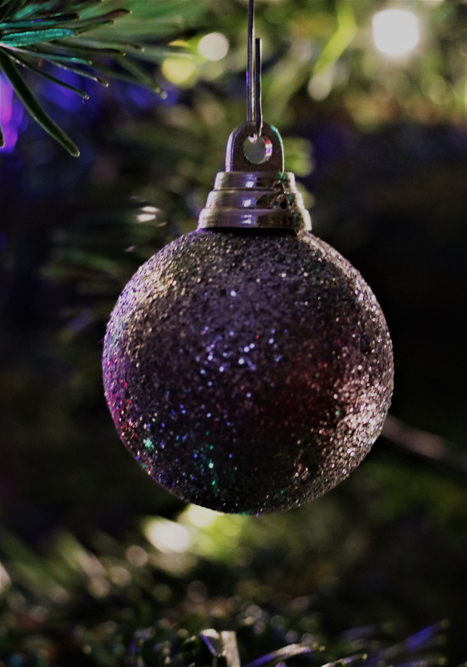 Canon EOS M6 sample photo. Spruce, christmas tree, holidays photography