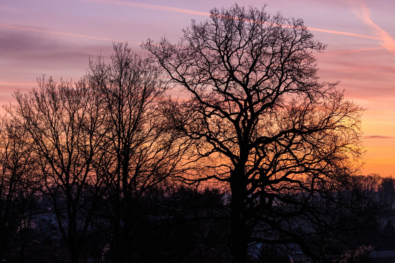 Canon EOS 6D Mark II sample photo. Daybreak, dawn, tree photography