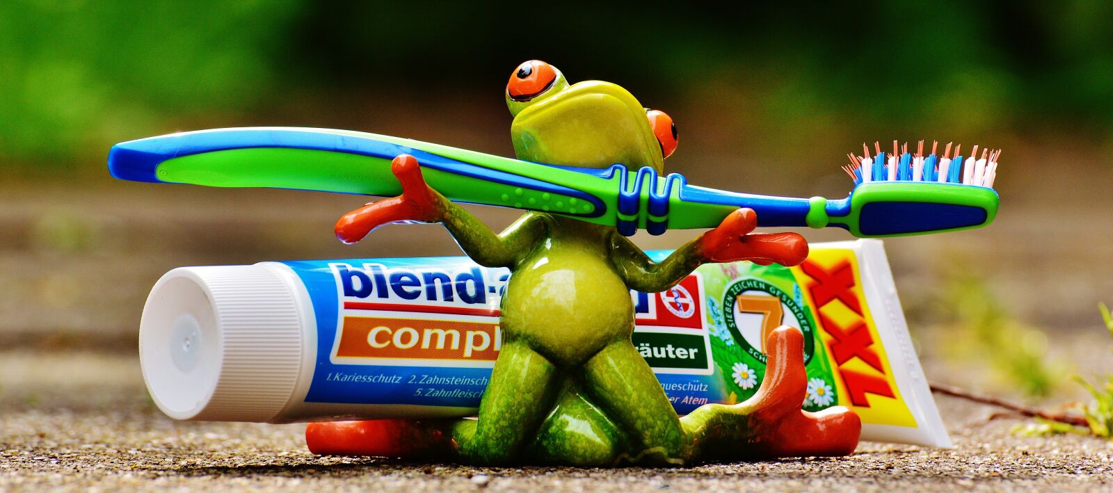 Nikon D3200 sample photo. Toothpaste, frog, toothbrush photography