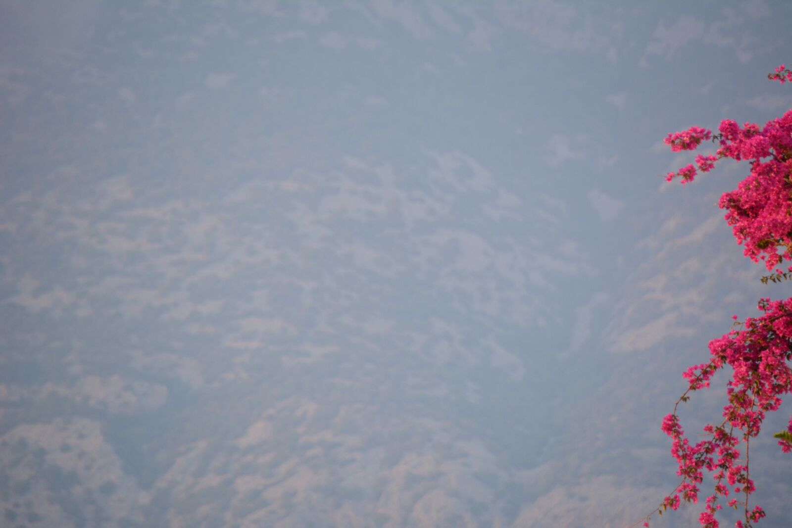 Nikon D7100 sample photo. Landscape, mountain, flower photography