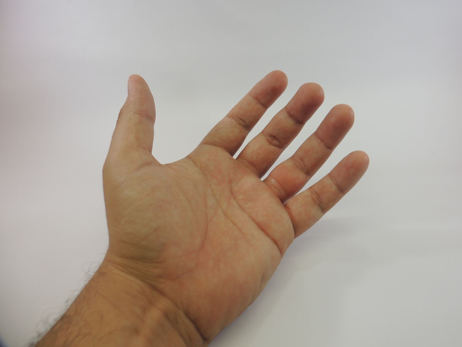 Nikon Coolpix P510 sample photo. Hand, open, fingers photography