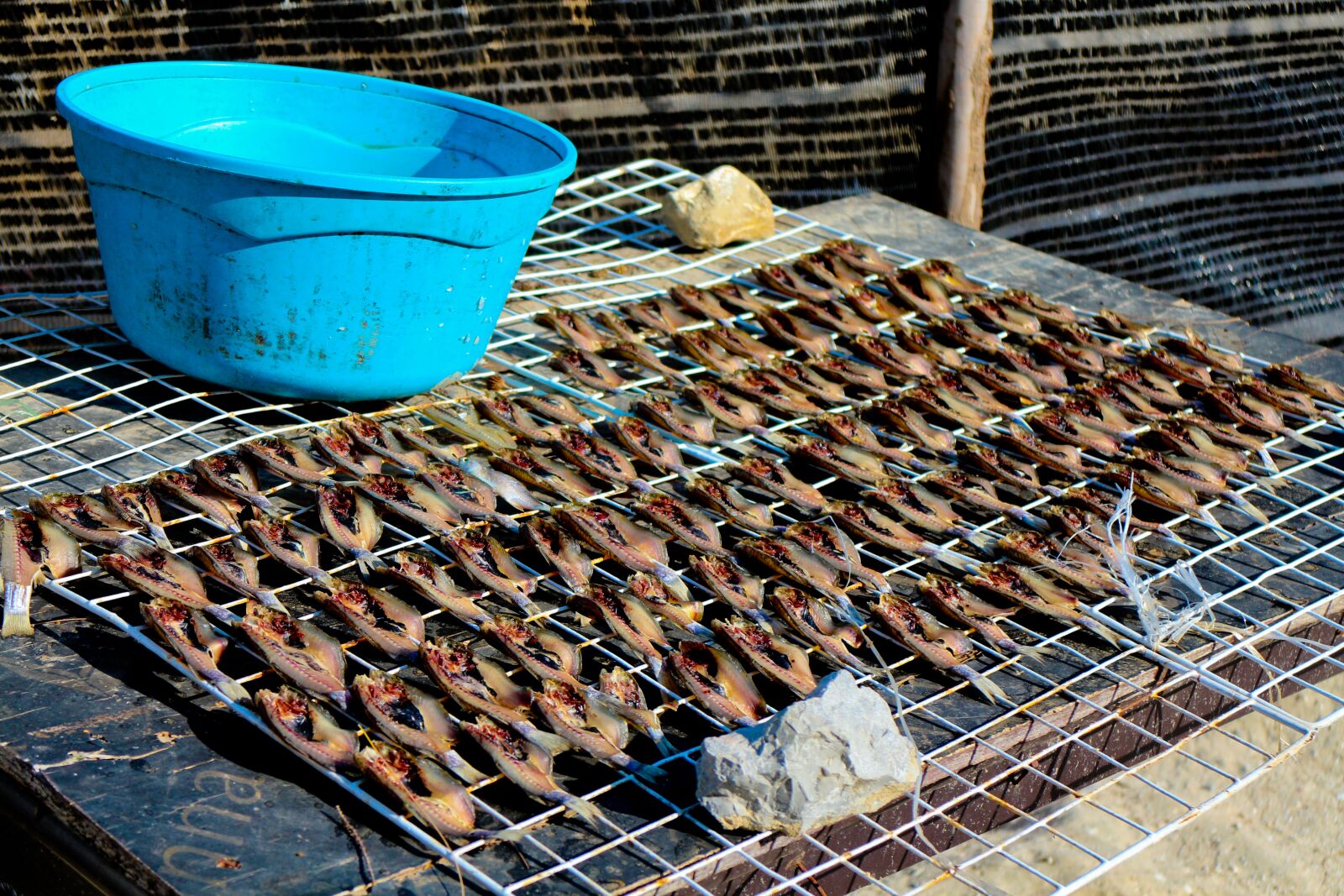 Canon EOS M sample photo. Dry, fish, food photography