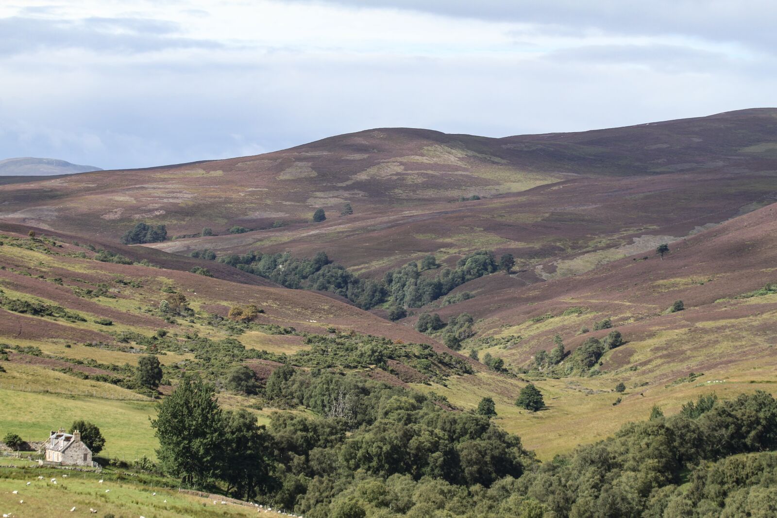 Canon EF 100-400mm F4.5-5.6L IS USM sample photo. Highlands and islands, scotland photography
