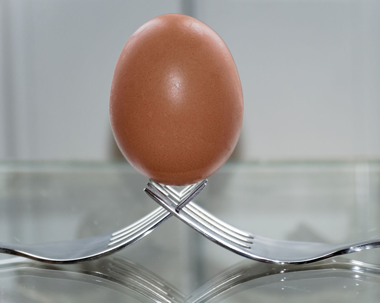 Nikon D3200 sample photo. Fork, egg, balance photography