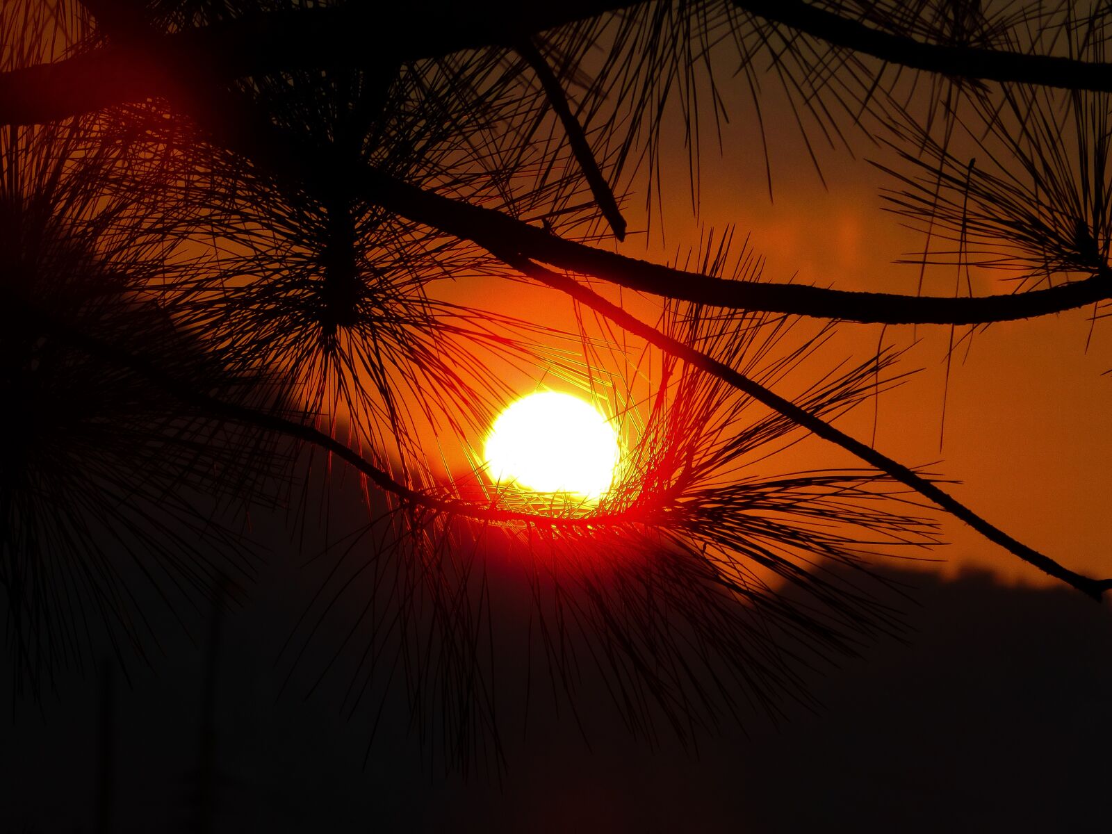 Nikon Coolpix L840 sample photo. Sunset, sky, nature photography