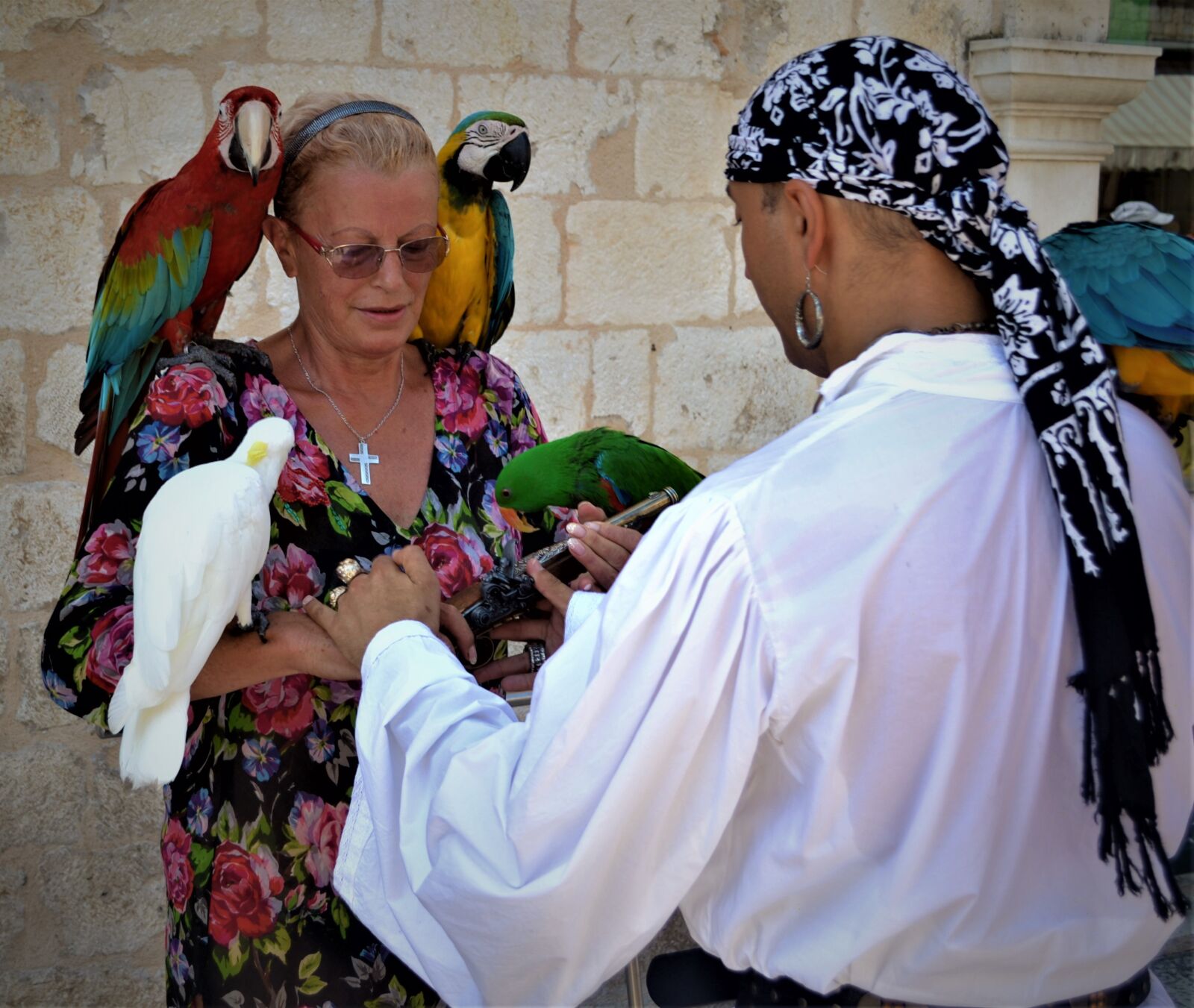Nikon D3100 sample photo. Parrots, lady, color photography