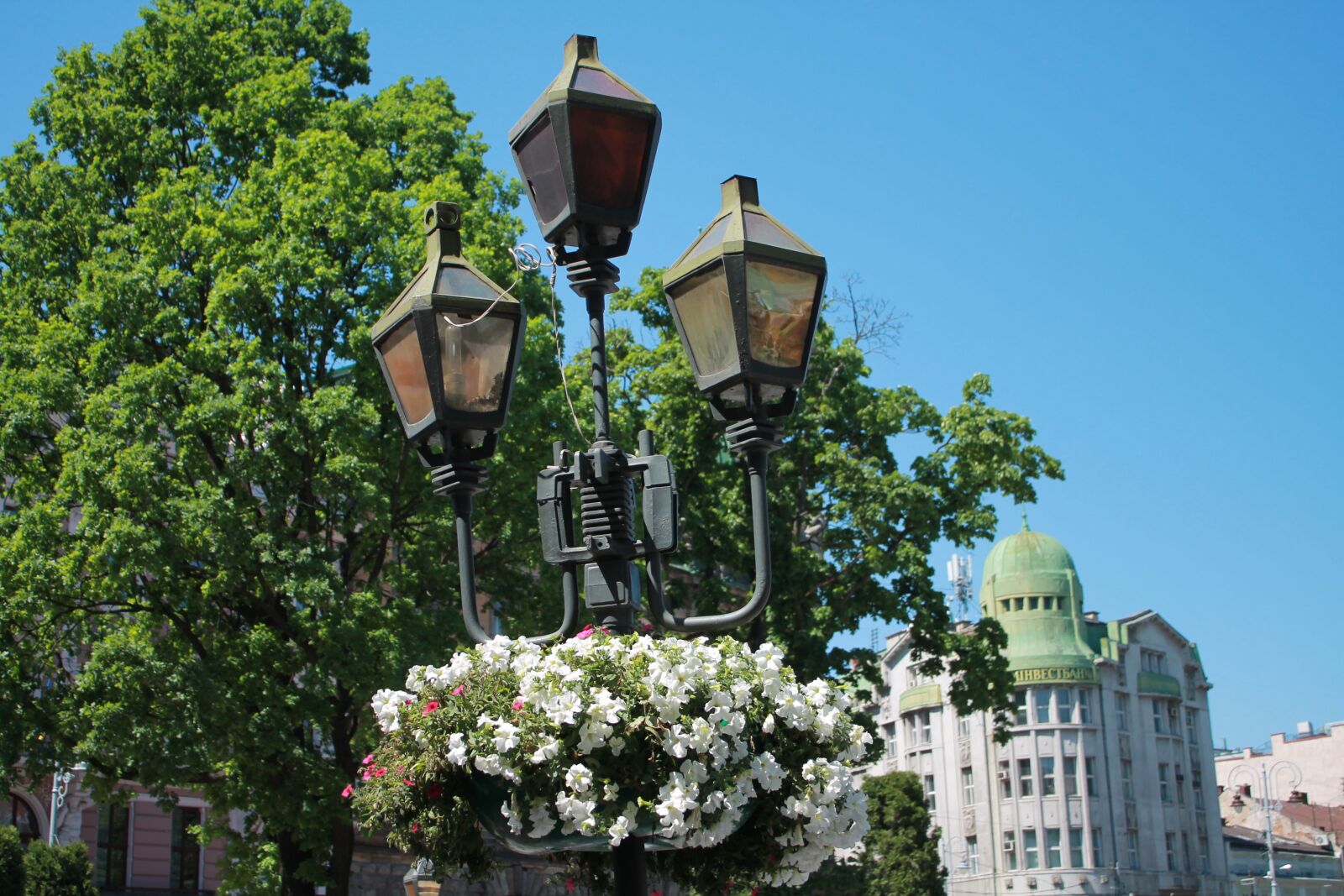 Canon EOS 1100D (EOS Rebel T3 / EOS Kiss X50) sample photo. Lantern, flowers, sky photography