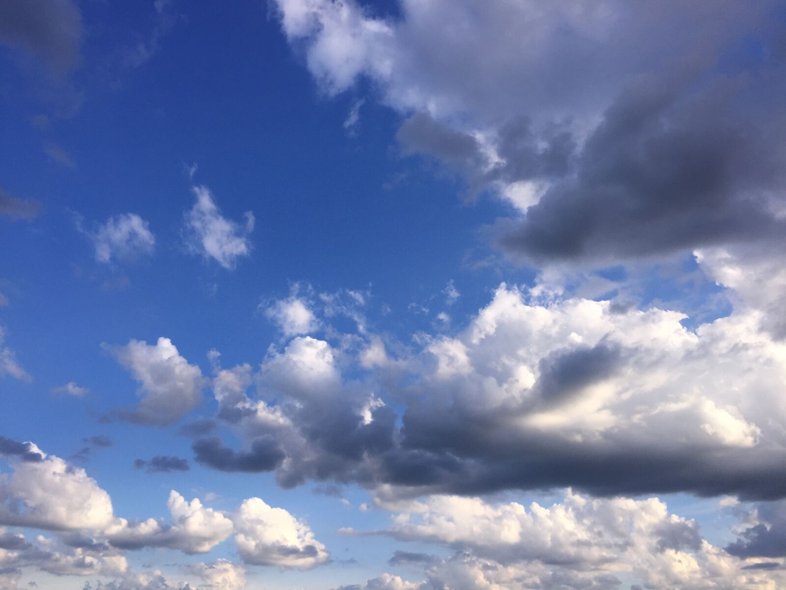 iPhone 6 back camera 4.15mm f/2.2 sample photo. Blue, sky, clear, sky photography