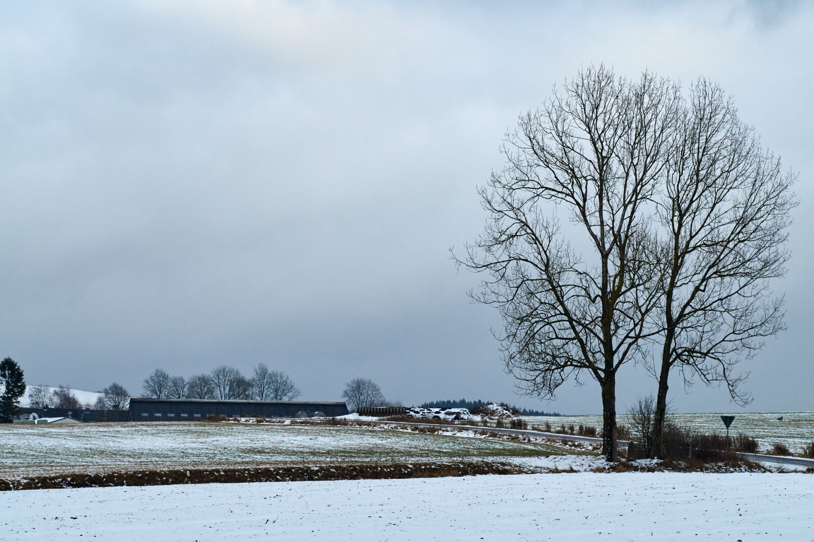 Sony SLT-A58 sample photo. Tree, winter, landscape photography