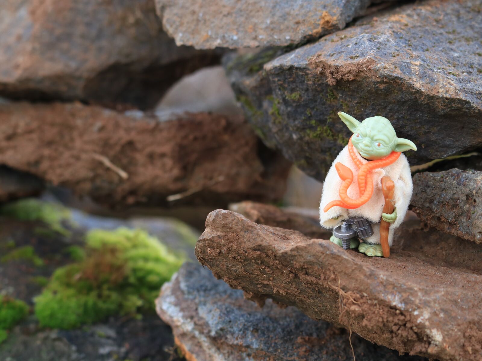 Canon EOS 750D (EOS Rebel T6i / EOS Kiss X8i) sample photo. Yoda, star wars, the photography