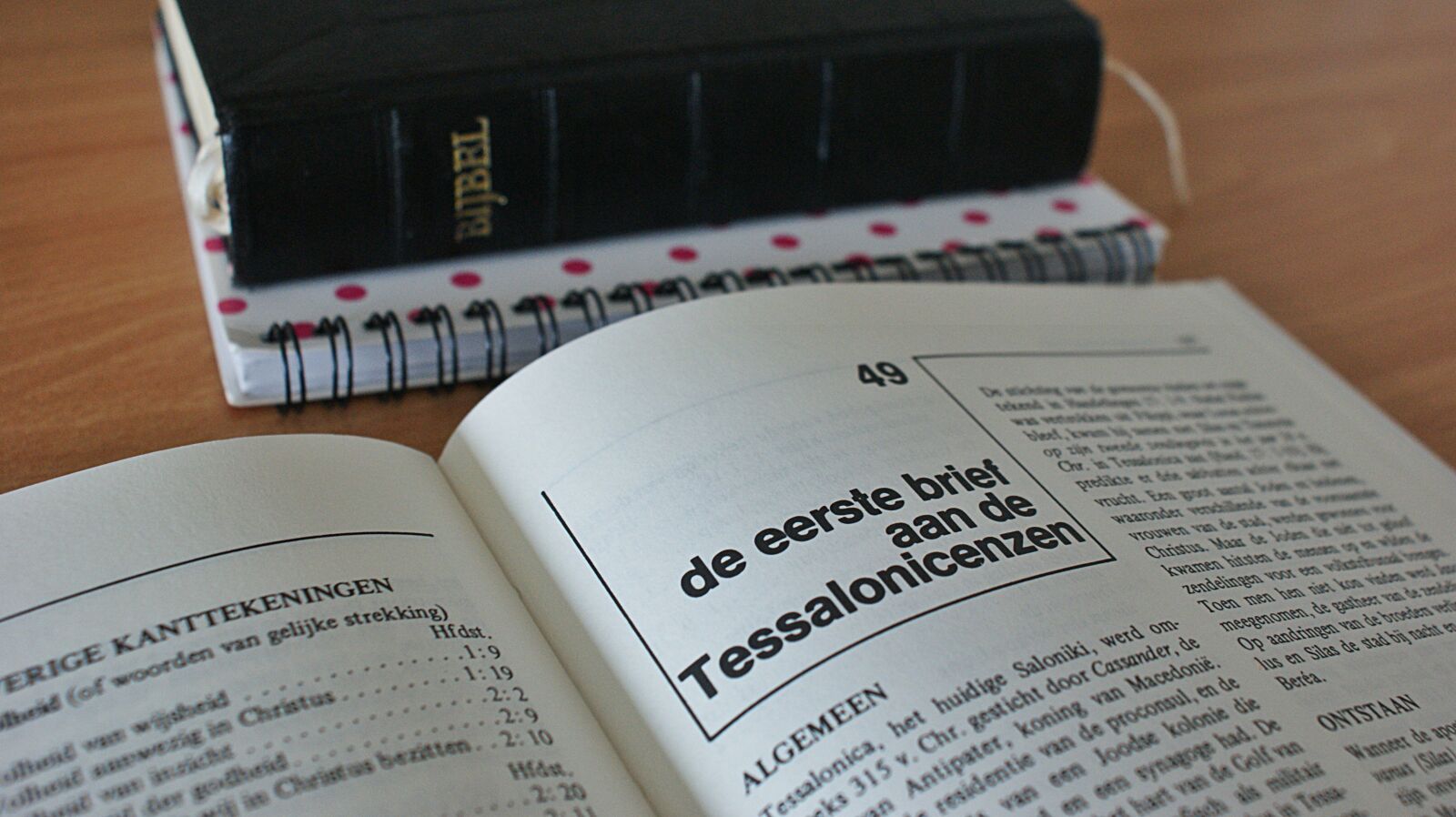 Sony Alpha DSLR-A350 sample photo. Study, bible, read photography