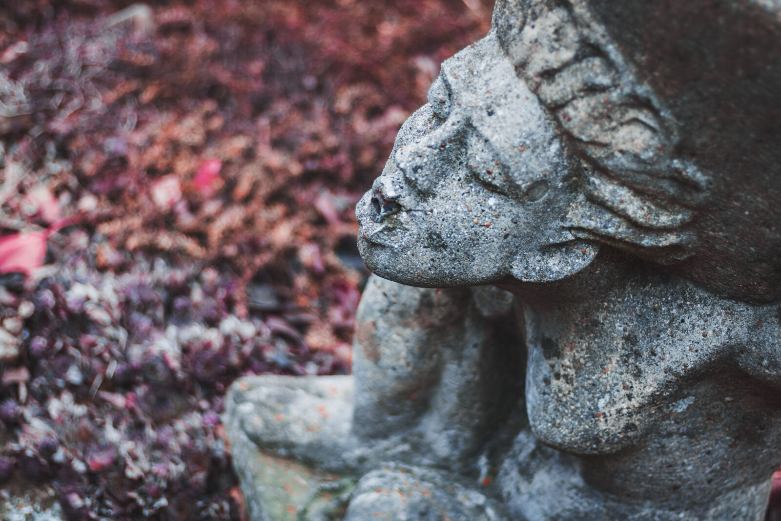 Canon EOS 750D (EOS Rebel T6i / EOS Kiss X8i) sample photo. Close, up, of, statue photography