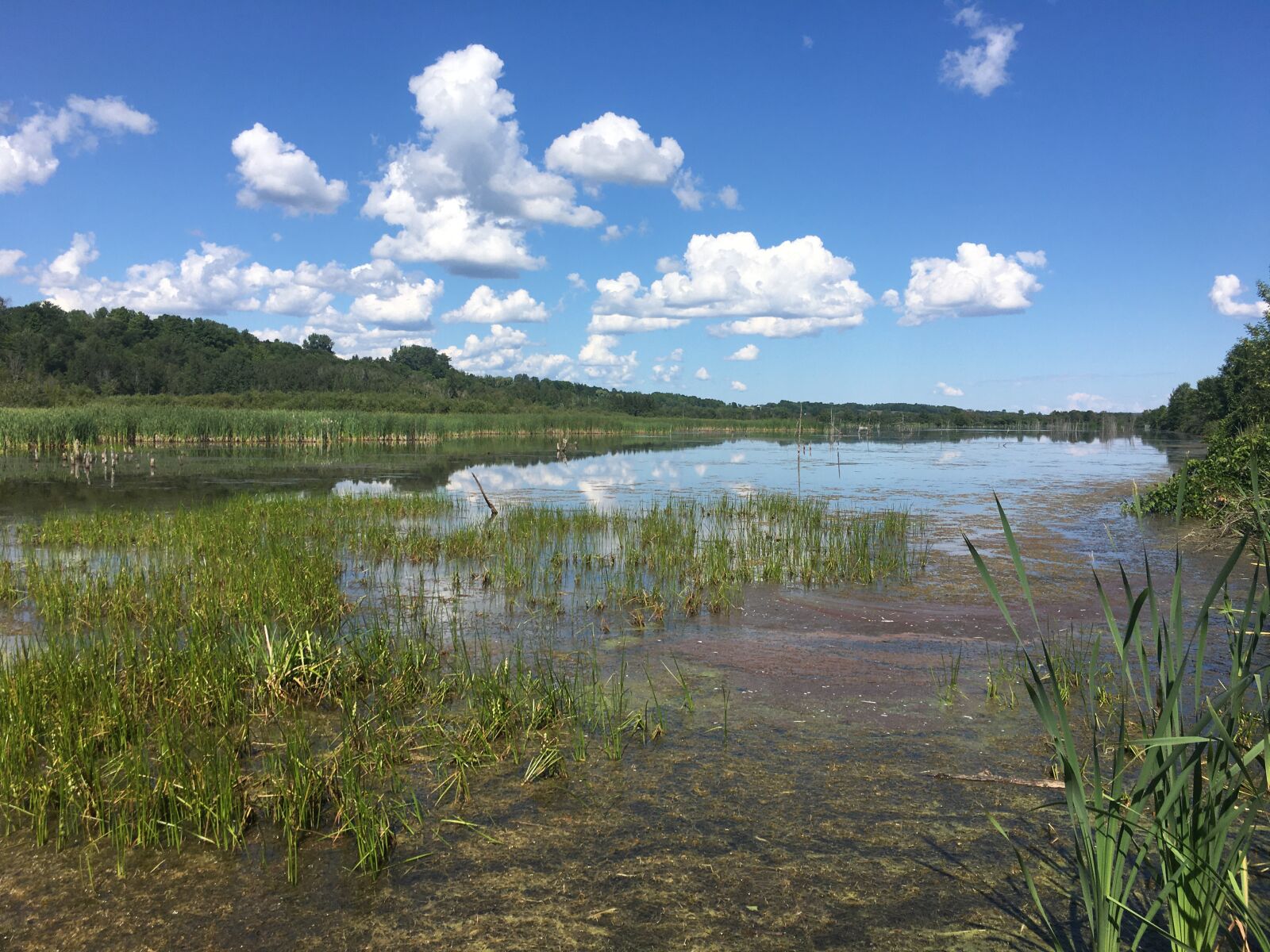 iPhone 6s back camera 4.15mm f/2.2 sample photo. Lake, outdoor, landscape photography
