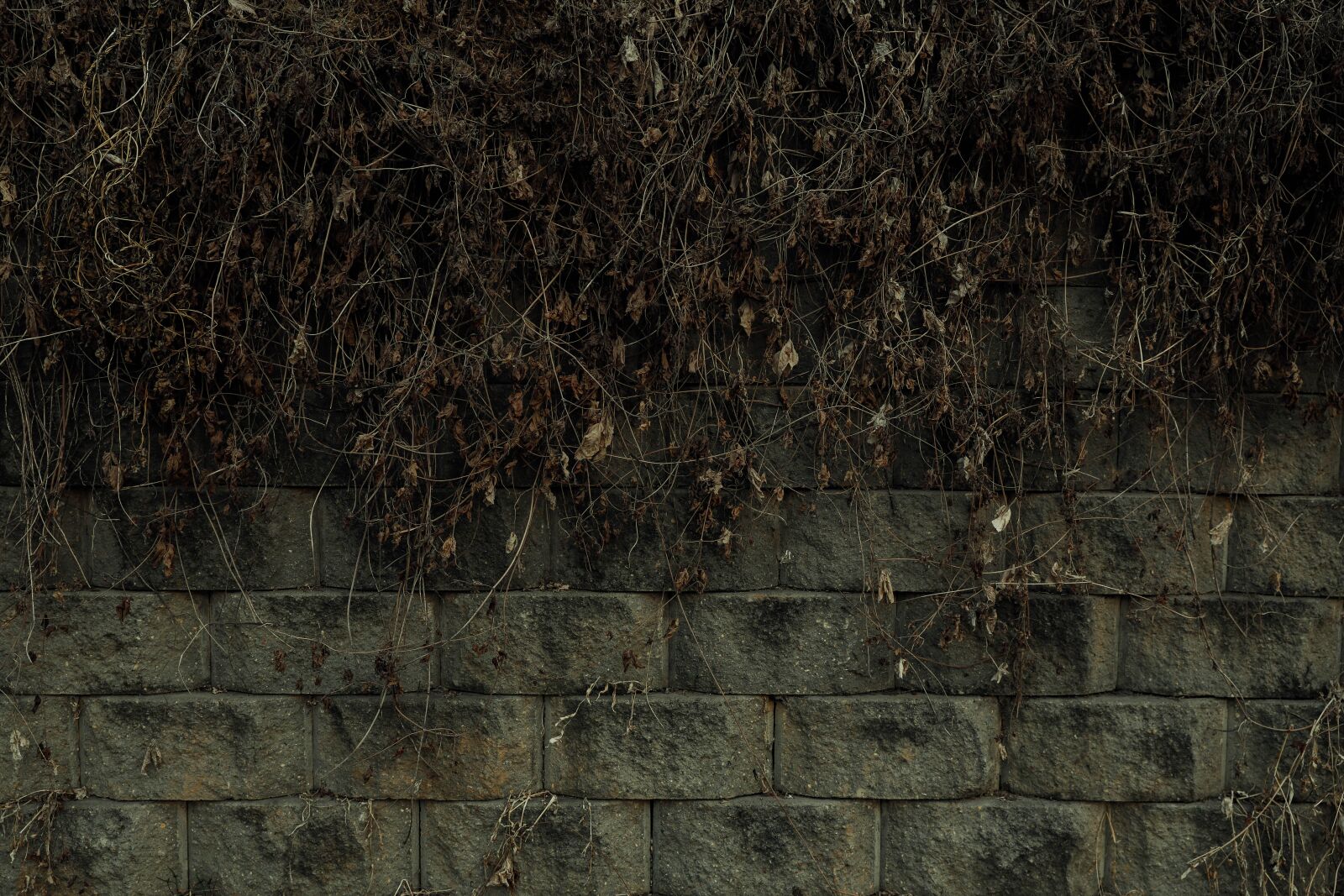 Canon EOS 5D Mark IV sample photo. Wall, damme, stone wall photography