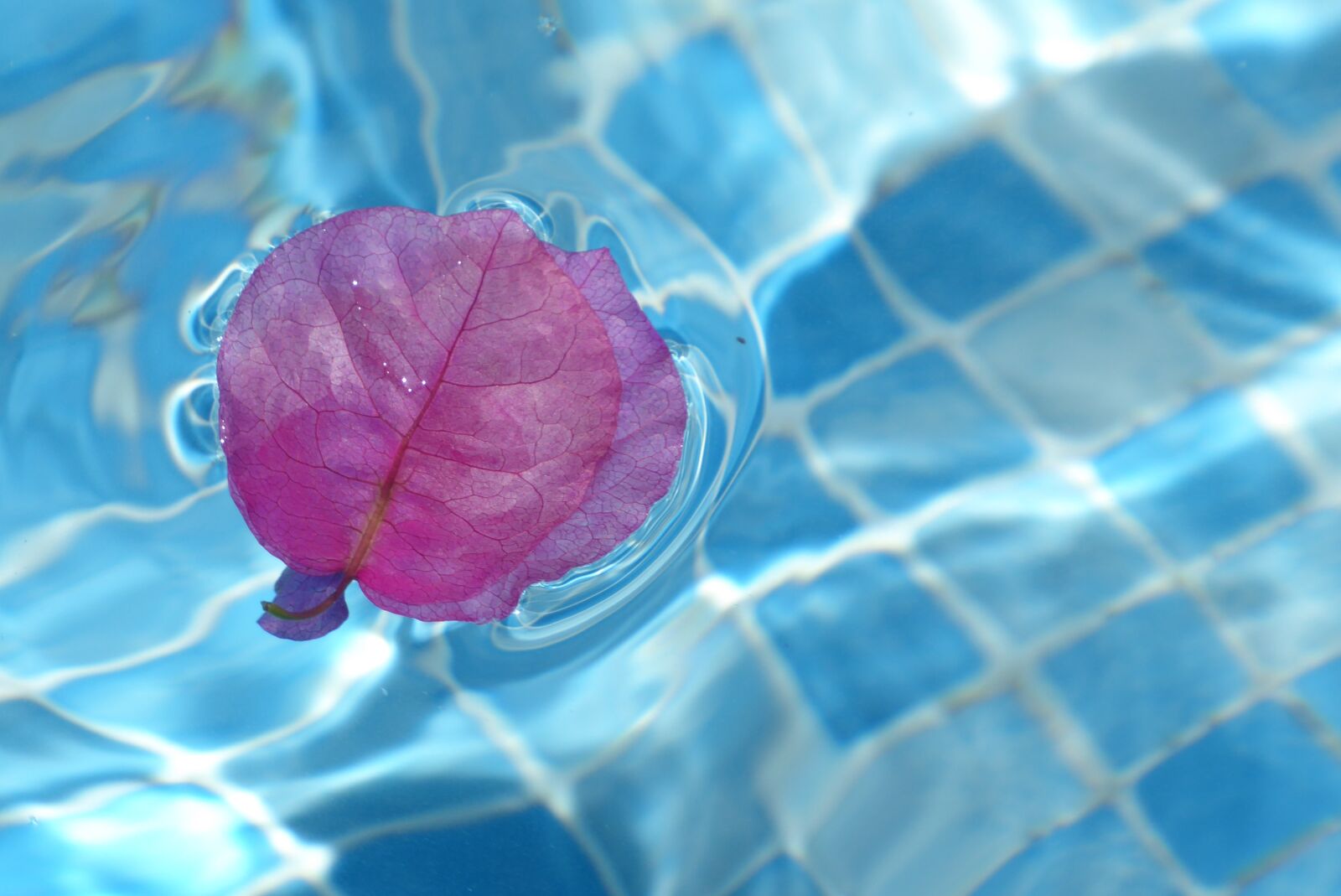 Panasonic DMC-TZ71 sample photo. Water, background, mirroring photography