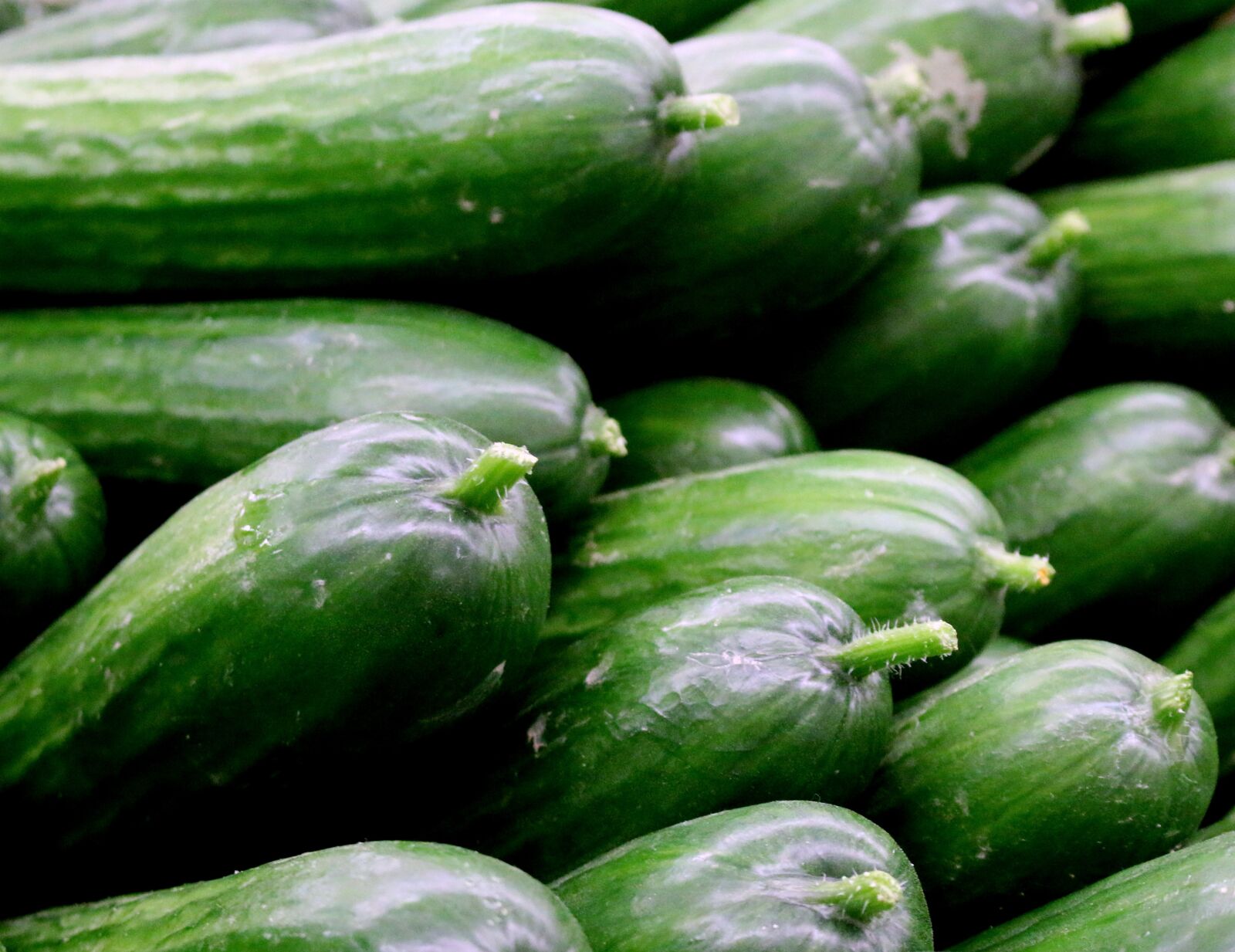 Canon EOS 70D sample photo. Vegetable, healthy, cucumber photography