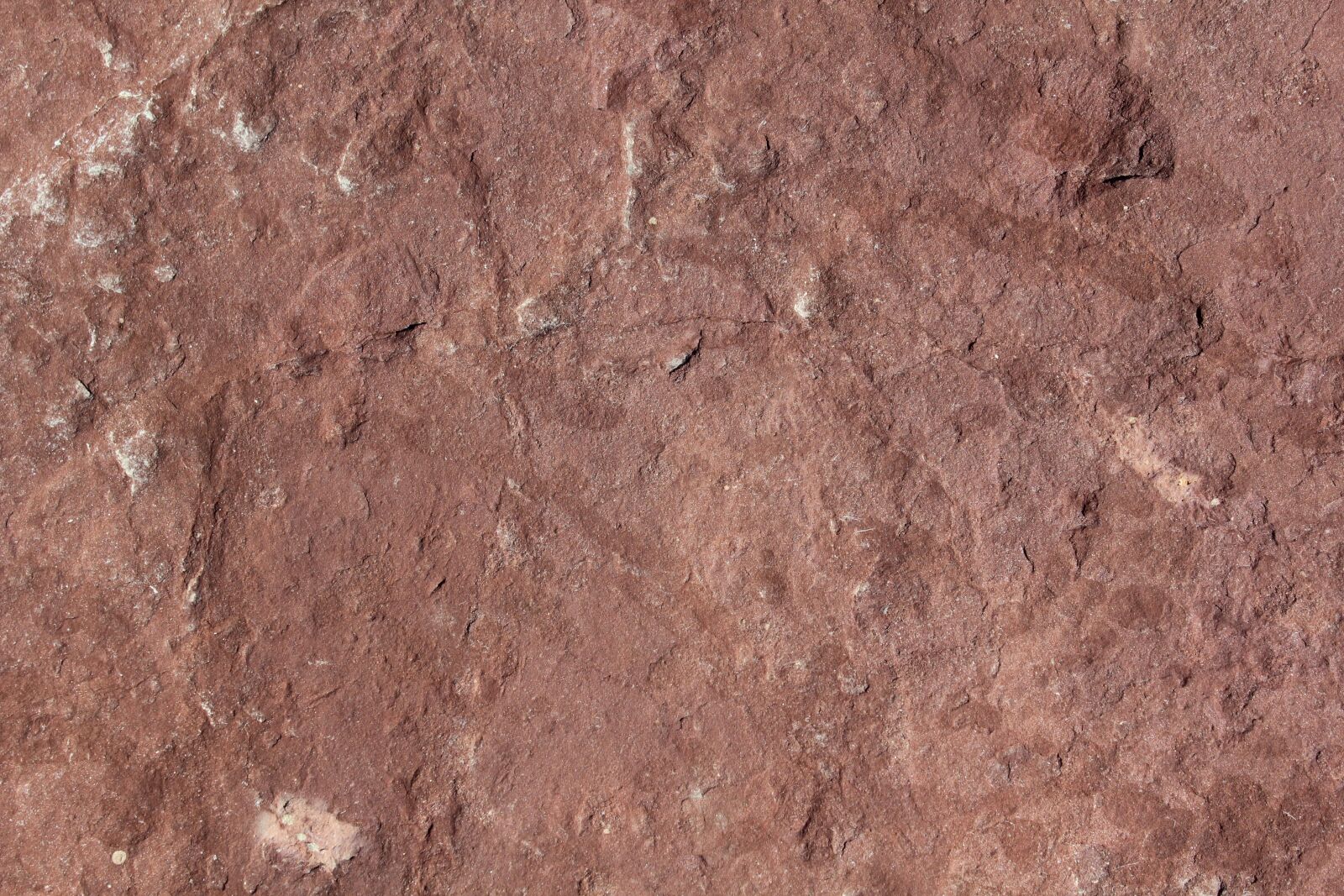 Canon EOS 550D (EOS Rebel T2i / EOS Kiss X4) sample photo. Texture, stone, brown photography