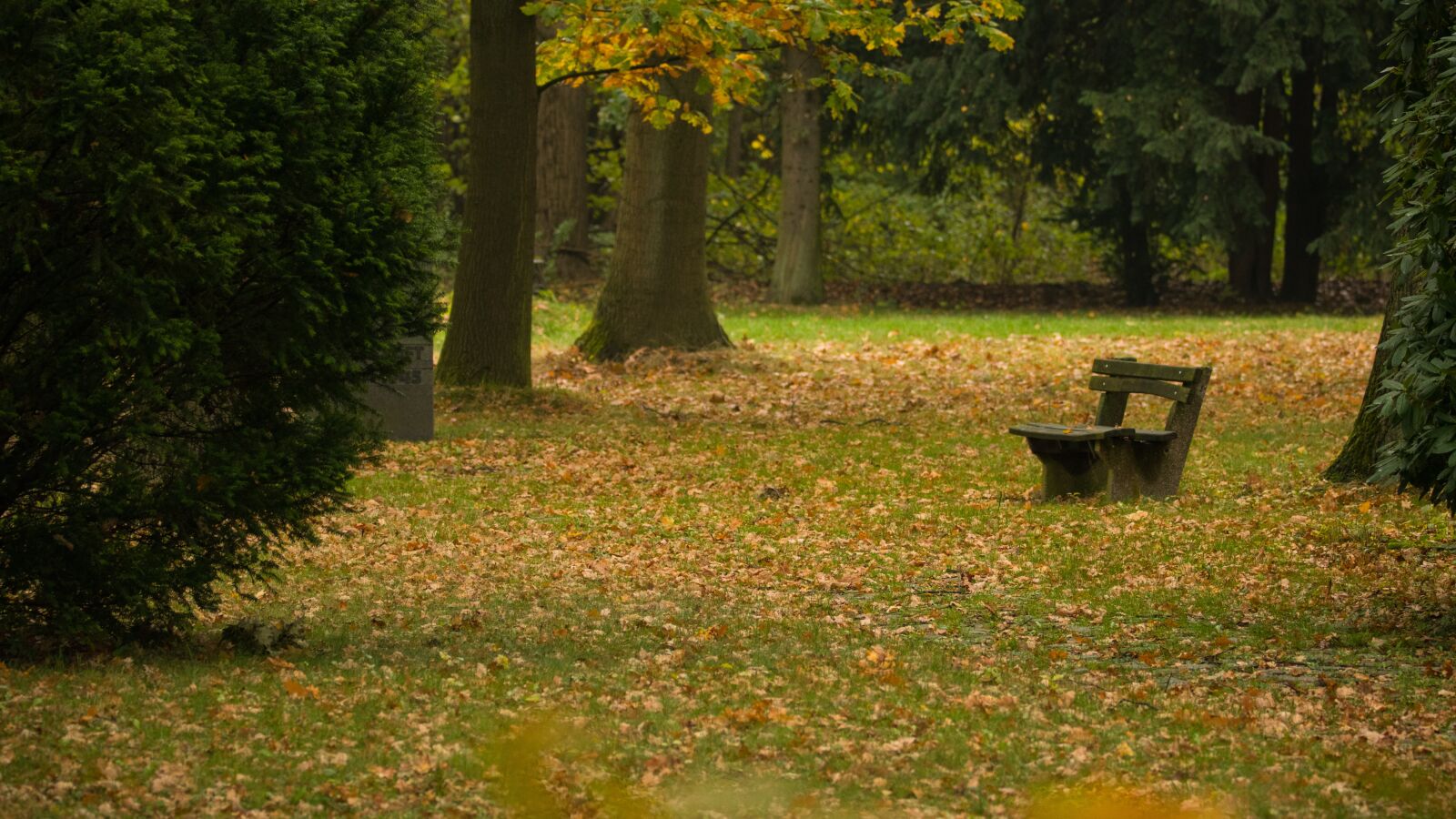 150-600mm F5-6.3 DG OS HSM | Contemporary 015 sample photo. Park, bank, autumn photography